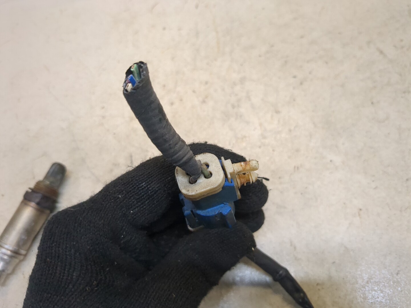 AP-0013467651 AP-0013467651