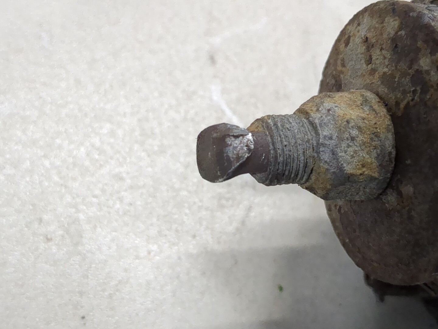 AP-0013477798 AP-0013477798