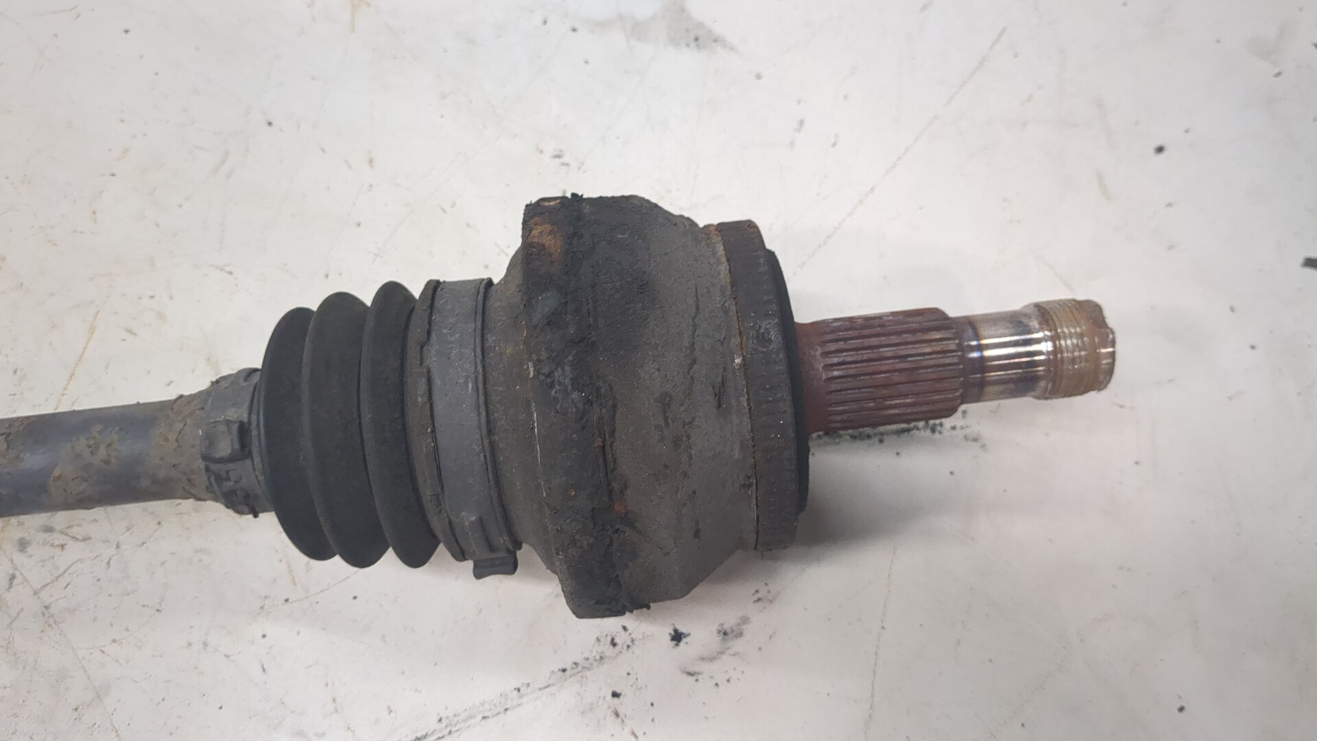 AP-0013484728 AP-0013484728