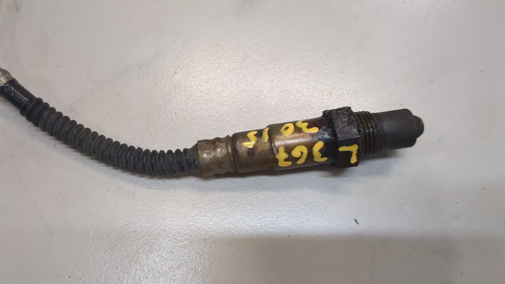 AP-0013529181 AP-0013529181