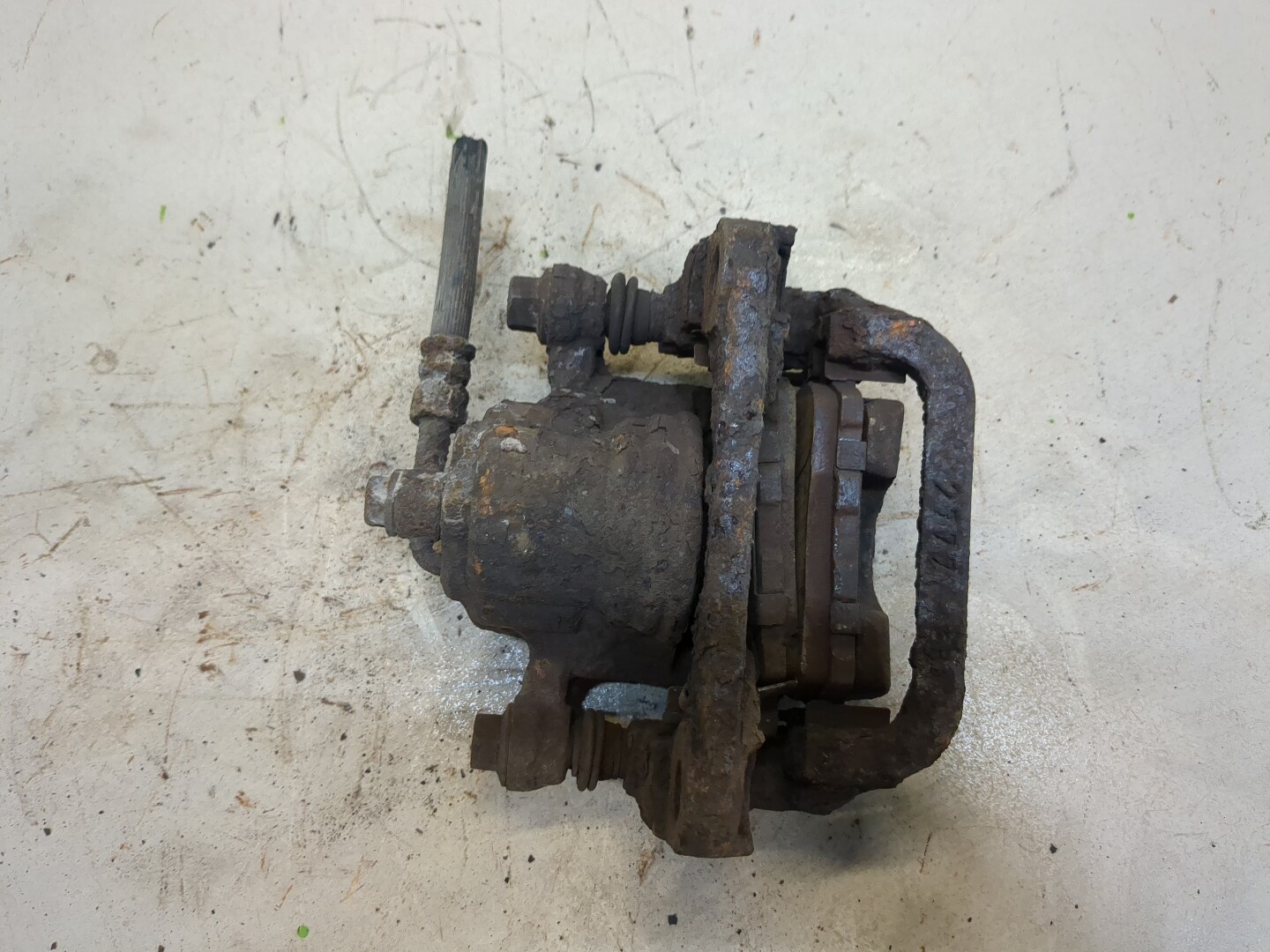  AP-0013561695