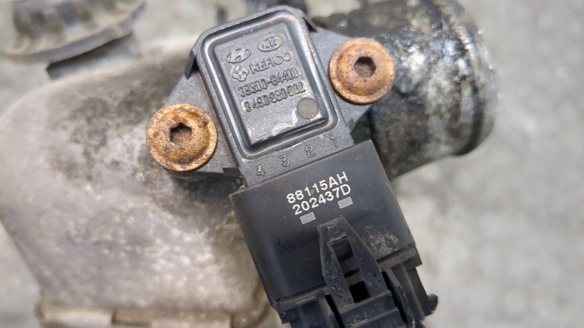 Интеркулер