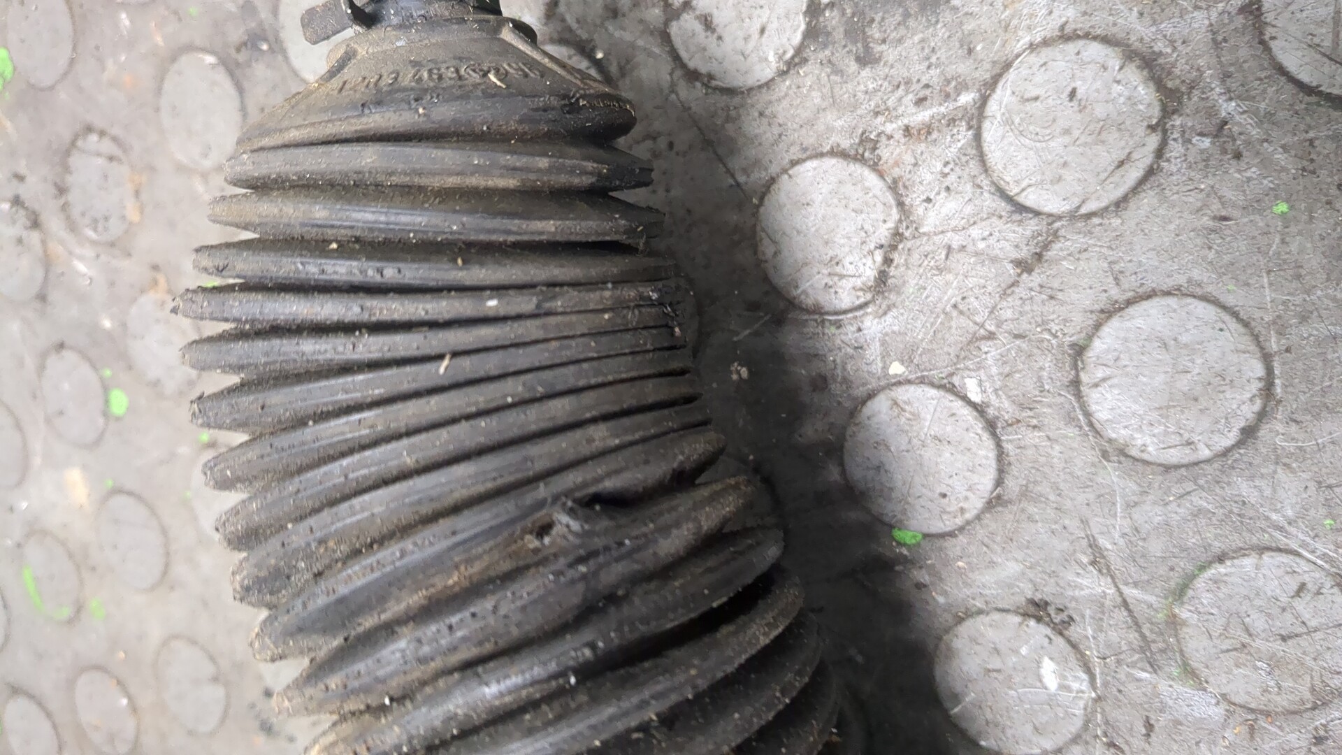 AP-0014045339 AP-0014045339