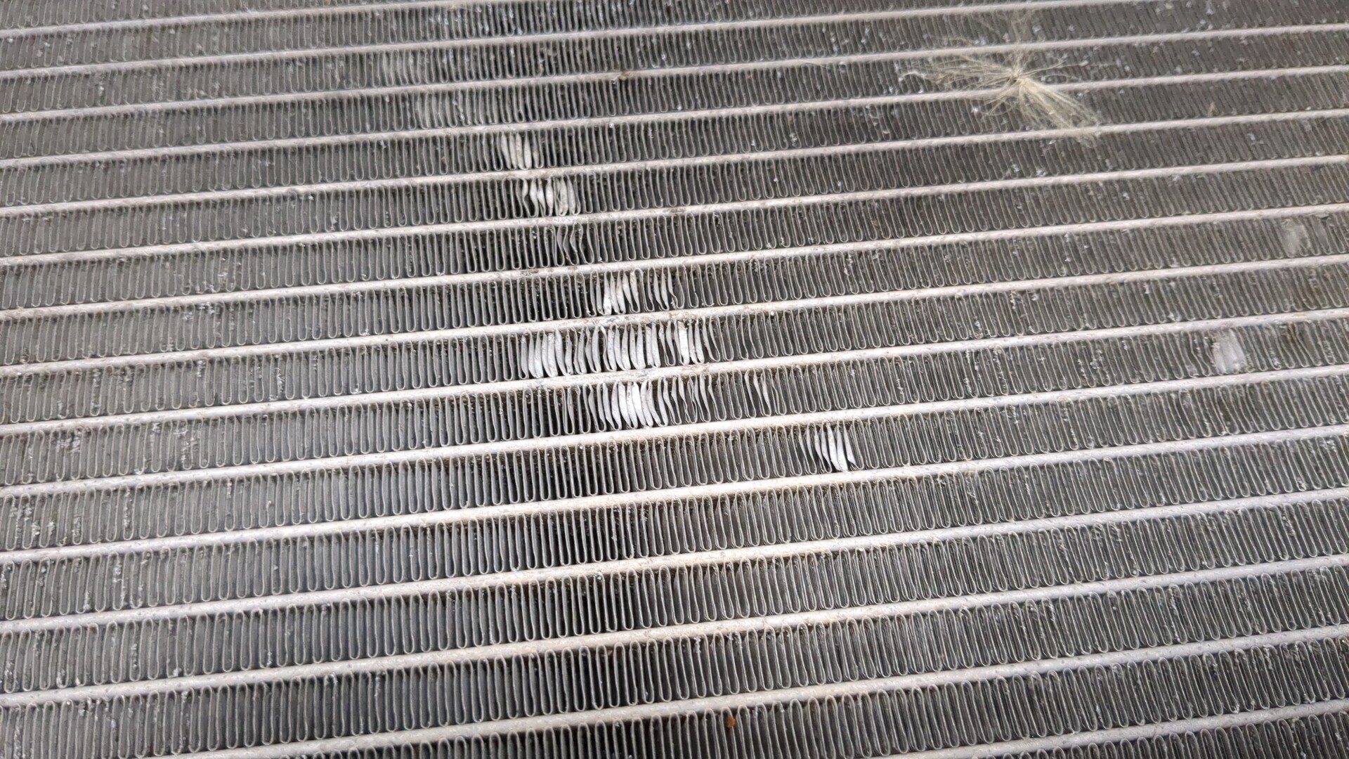 Радиатор охлаждения двигателя основной