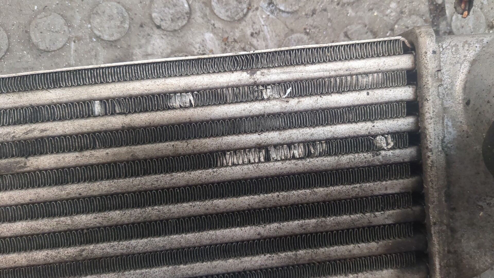 Интеркулер