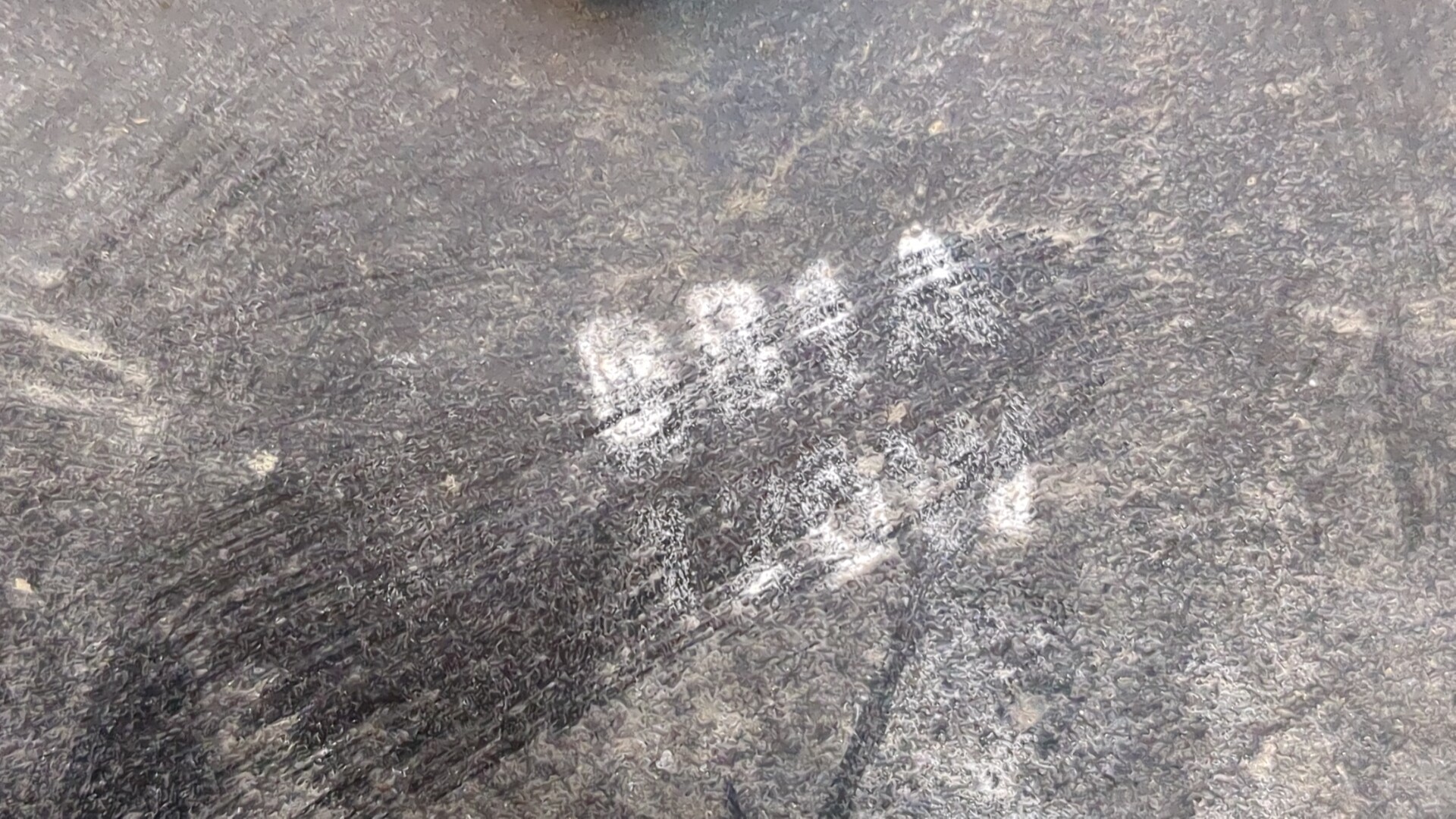 Вентилятор радиатора