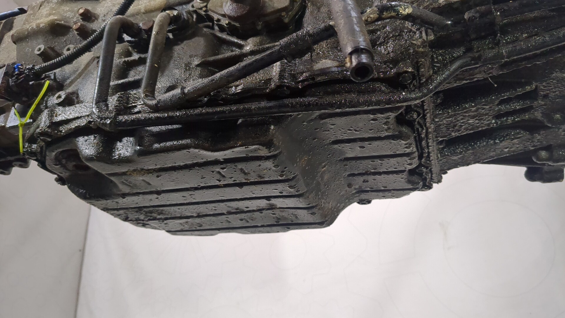 AP-0014447389 AP-0014447389