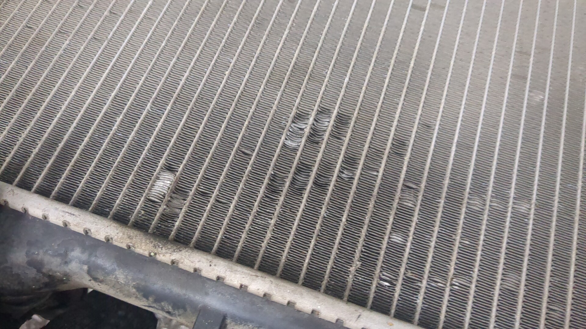 Радиатор охлаждения двигателя основной