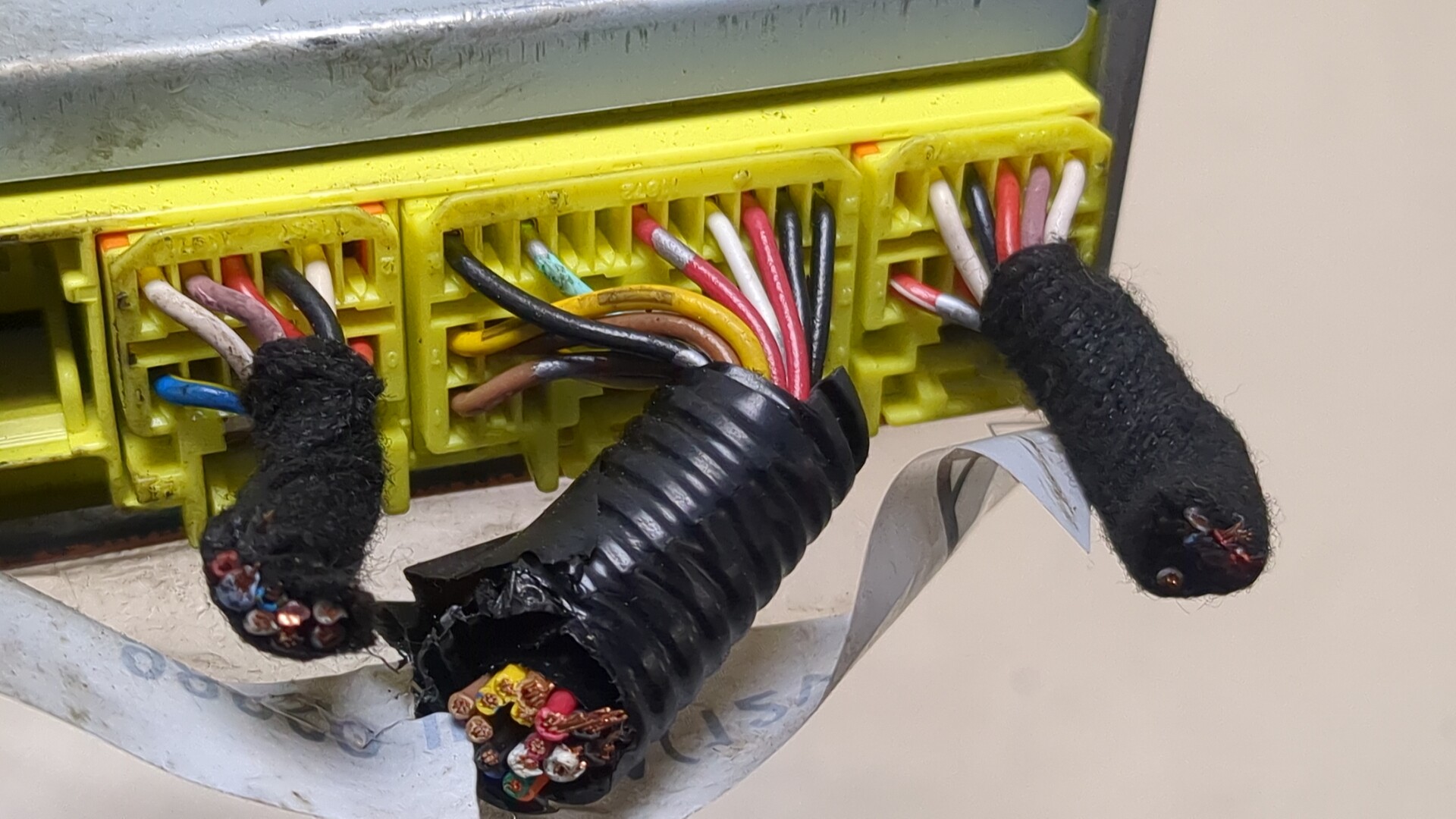 AP-0015073369 AP-0015073369