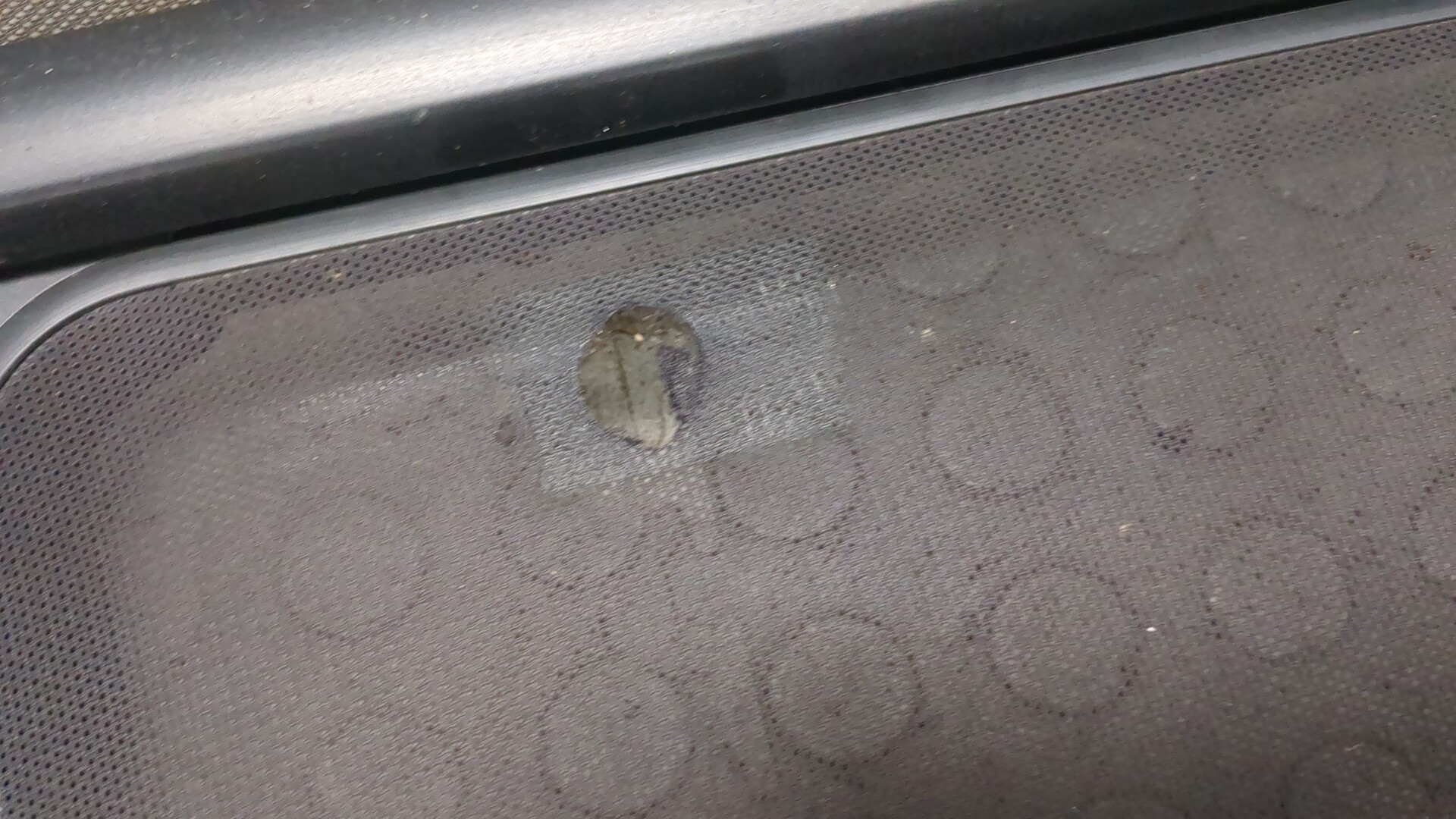 Сетка крепления груза карман