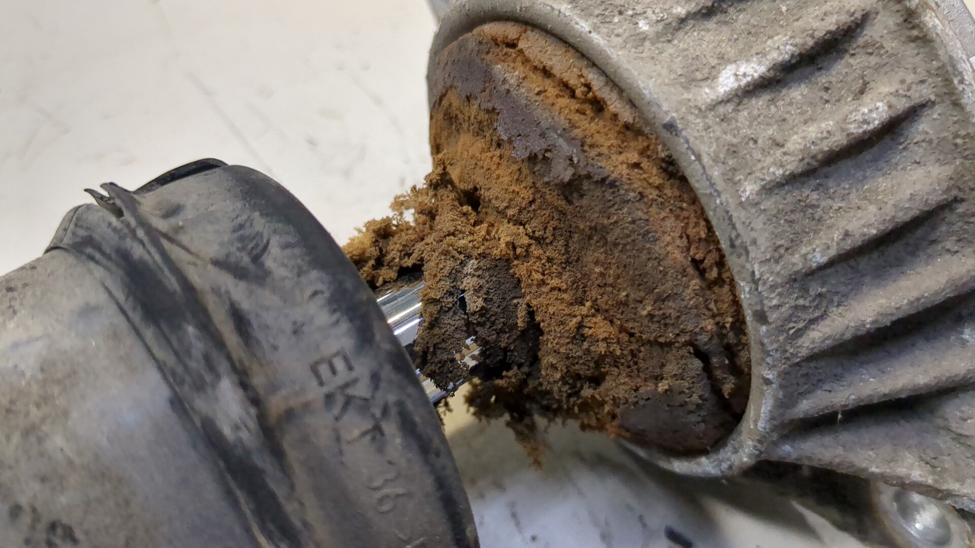 Амортизатор задний (стойка)