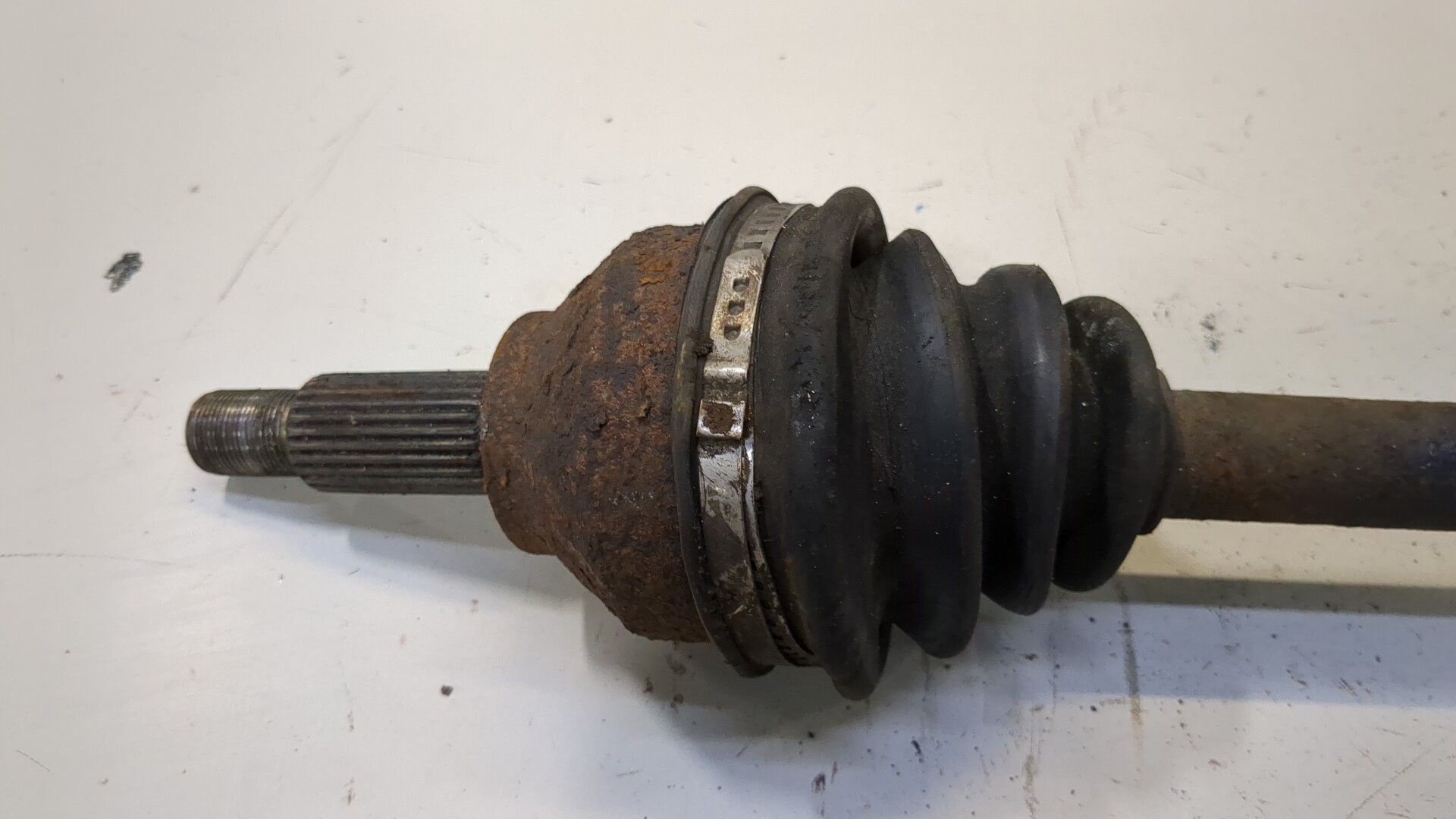 AP-0015337598 AP-0015337598