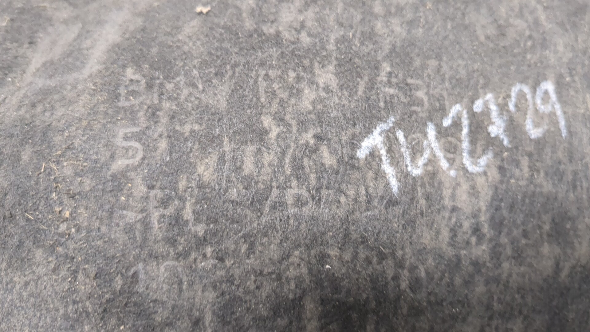 Локер задний правый