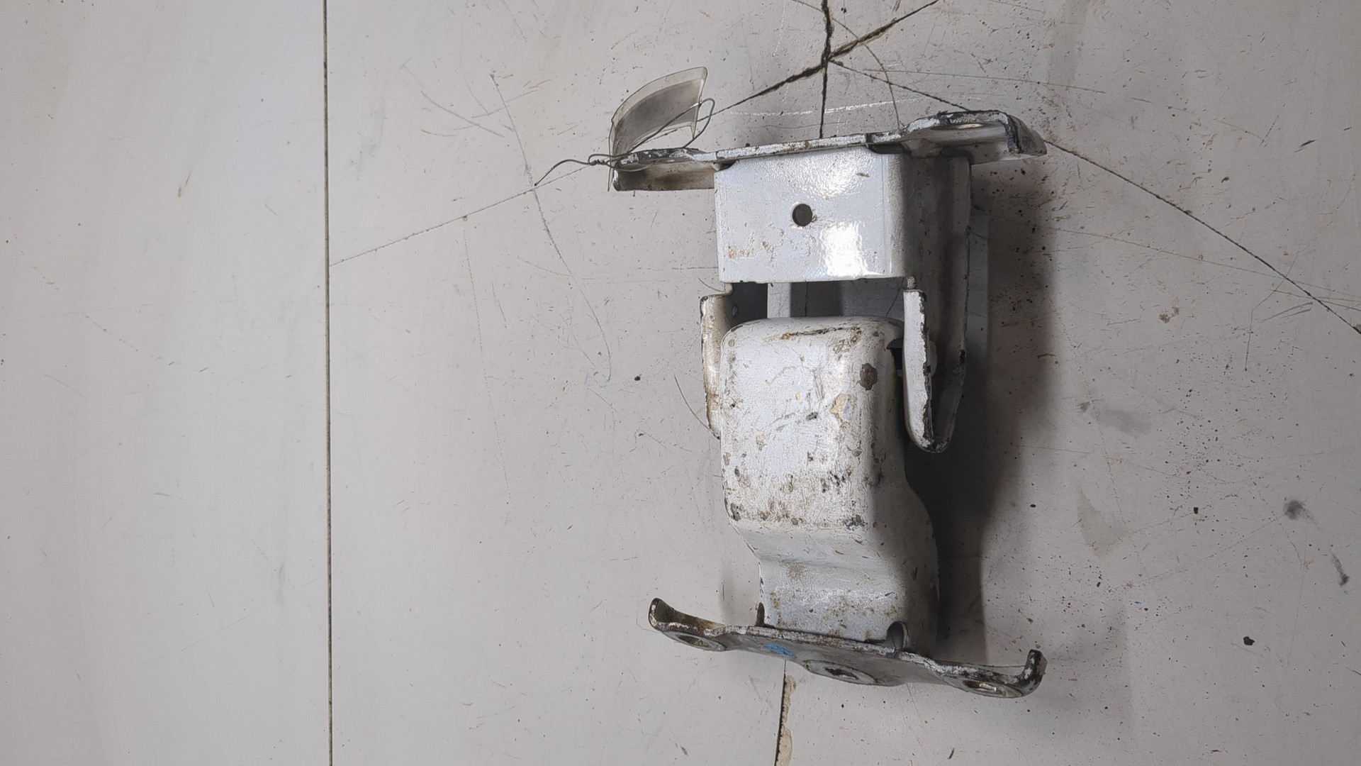 Петля двери задней