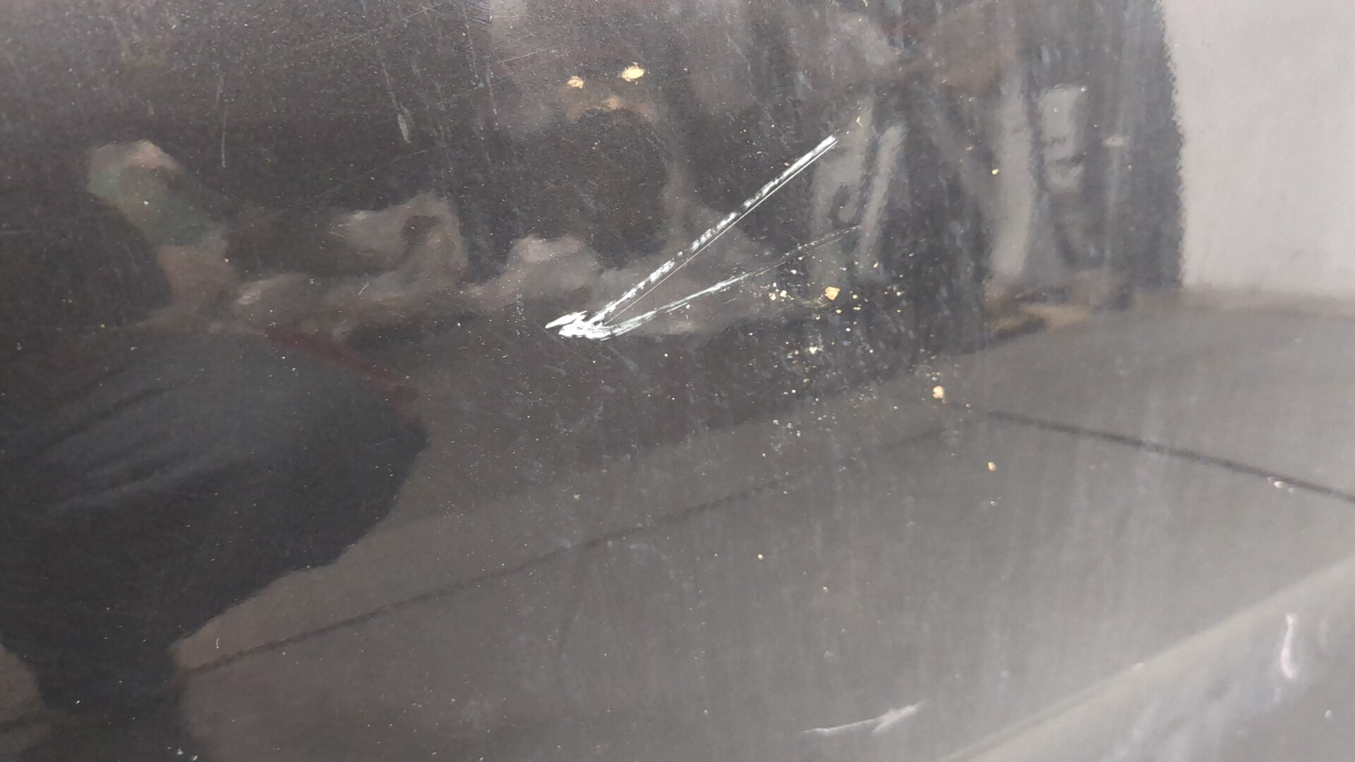 Дверь передняя правая