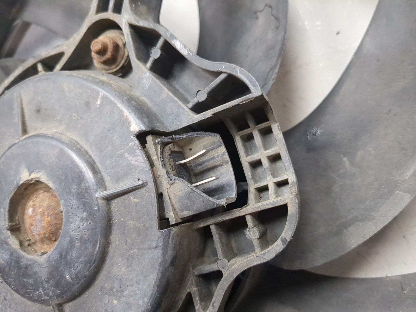 Вентилятор радиатора