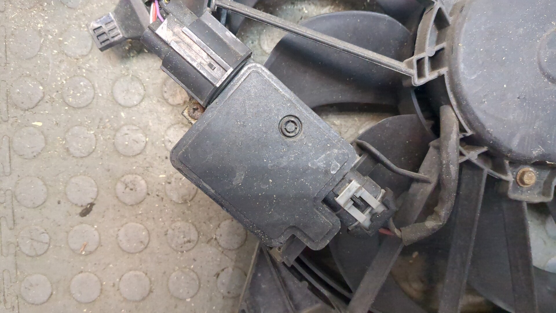 Вентилятор радиатора