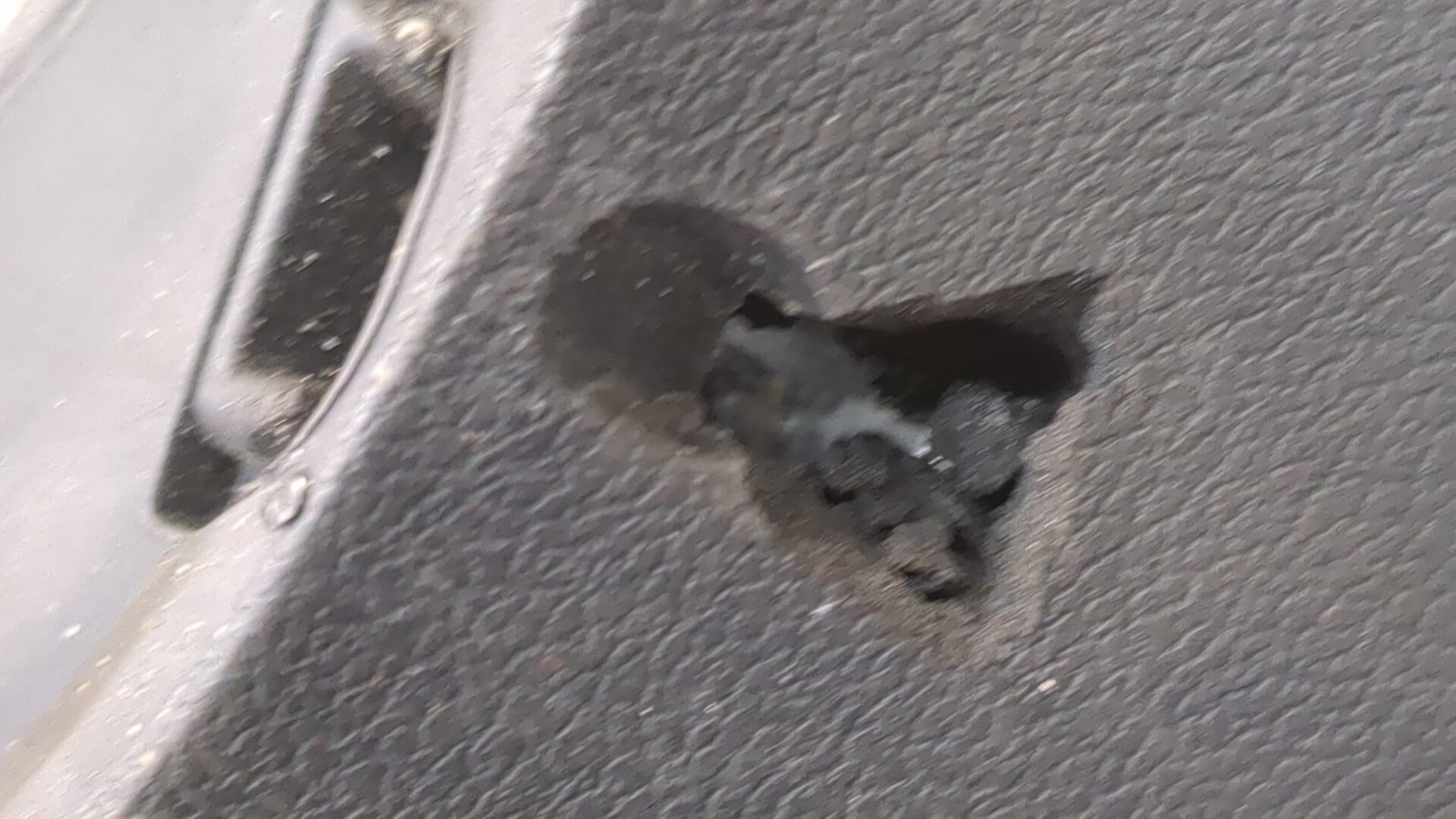 Рулевое колесо (руль)