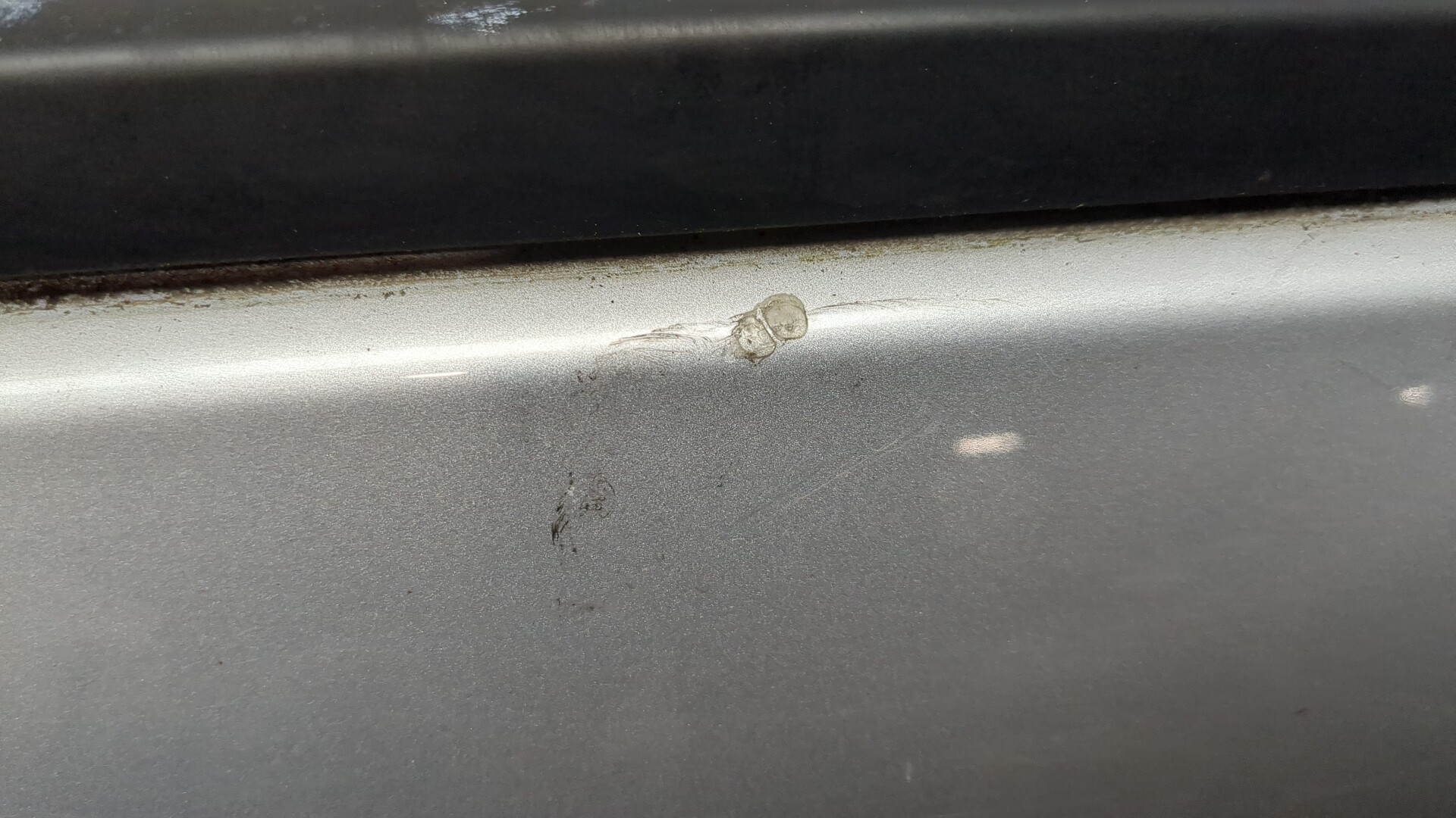 Дверь передняя левая