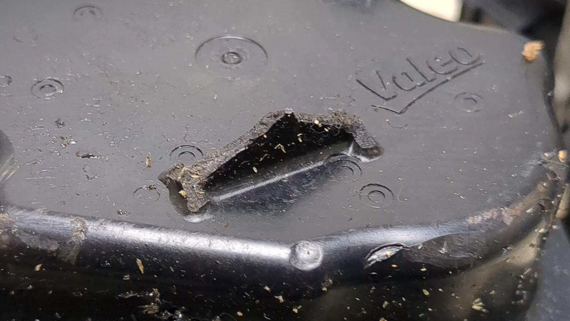 Клапан рециркуляции выхлопных газов (EGR)