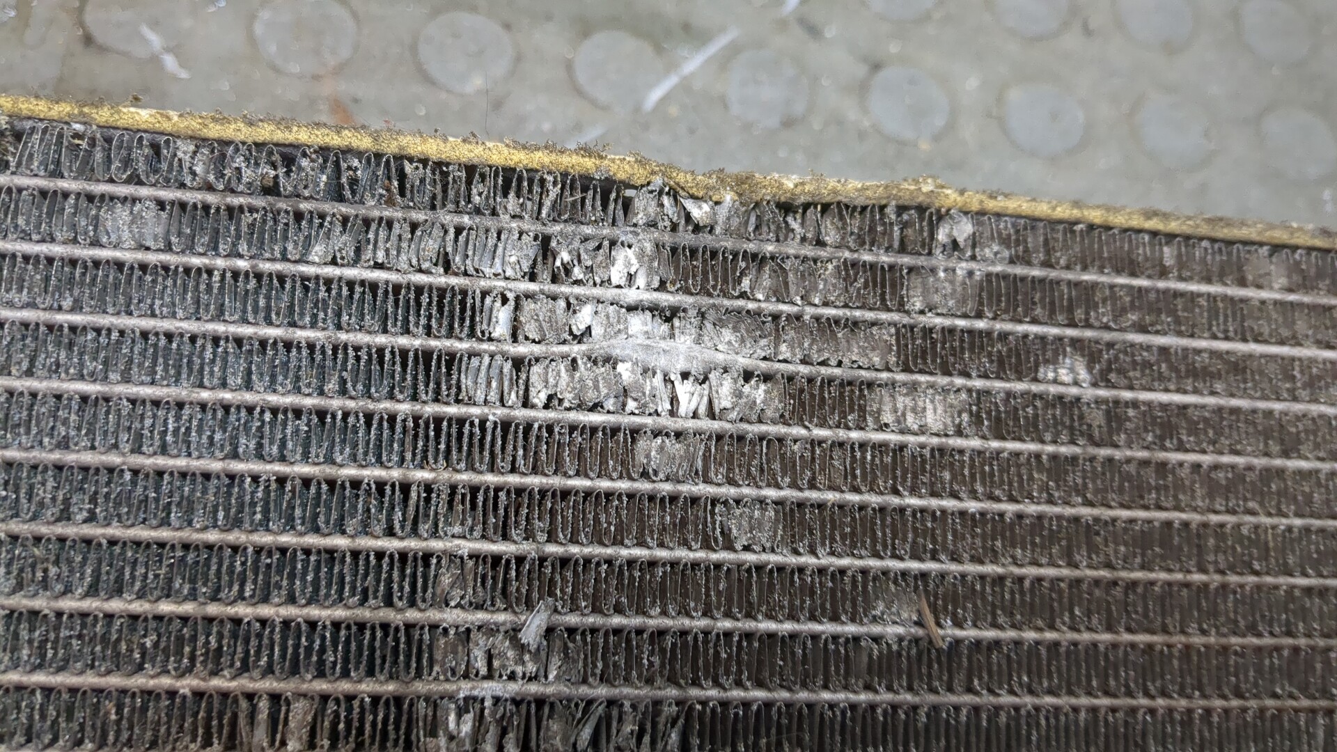 Радиатор охлаждения двигателя основной