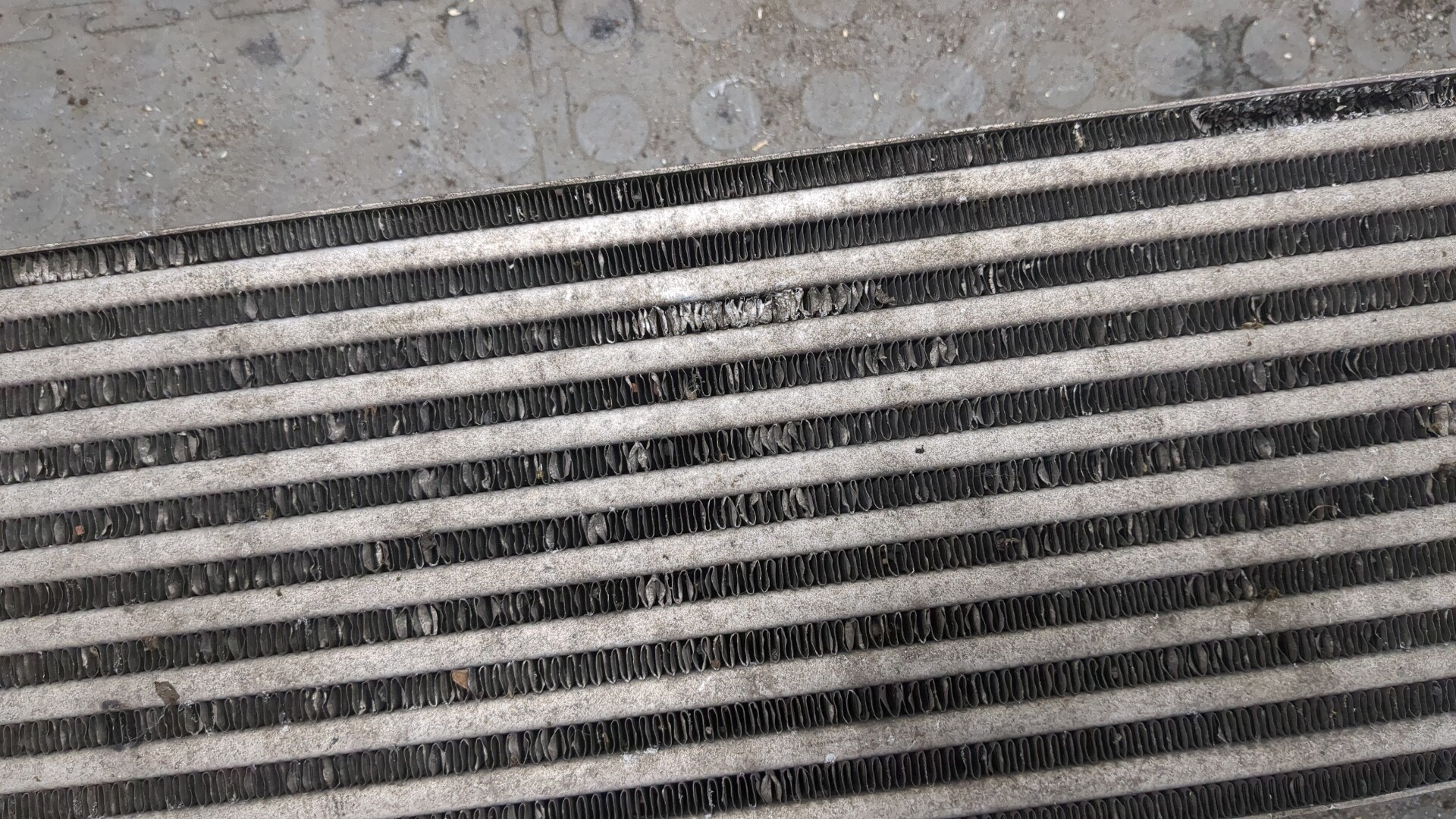 Интеркулер