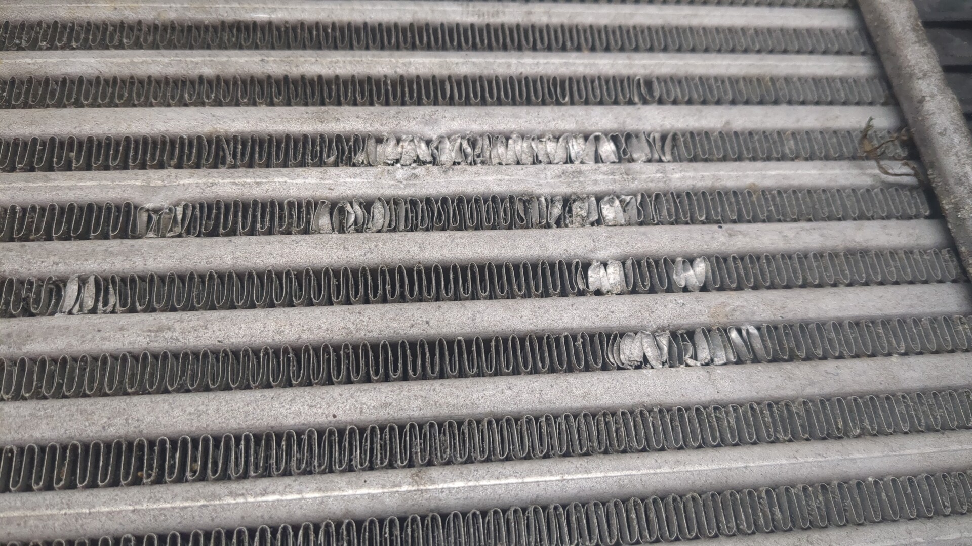 Интеркулер