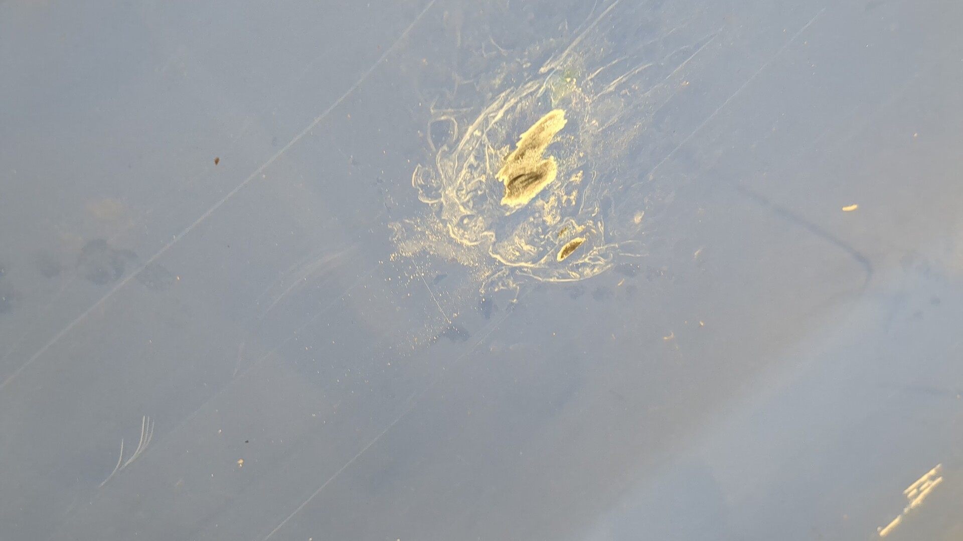 Дверь сдвижная