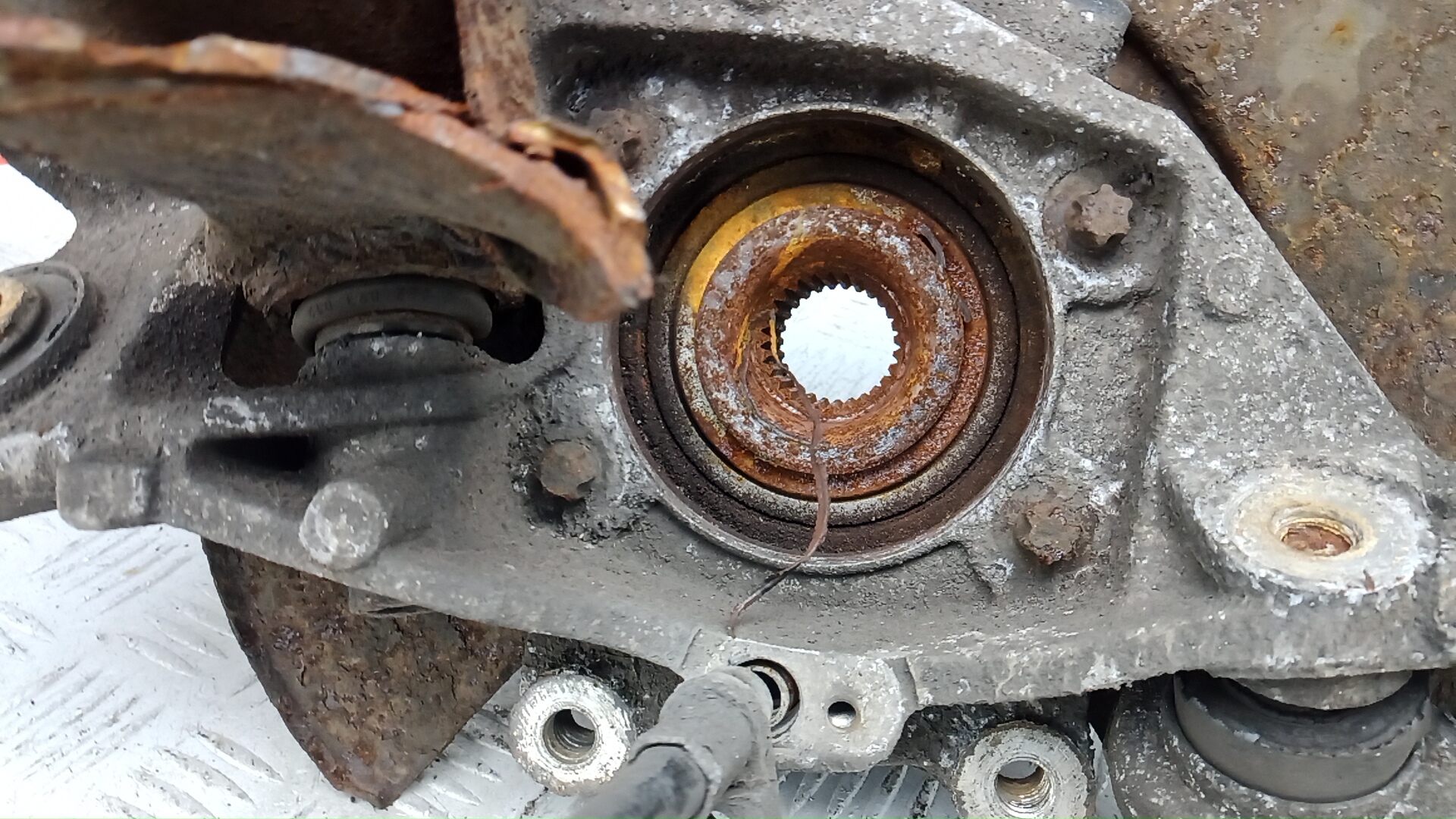 Ступица задняя