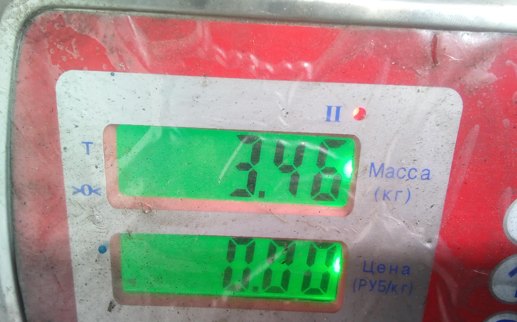 Кронштейн двигателя