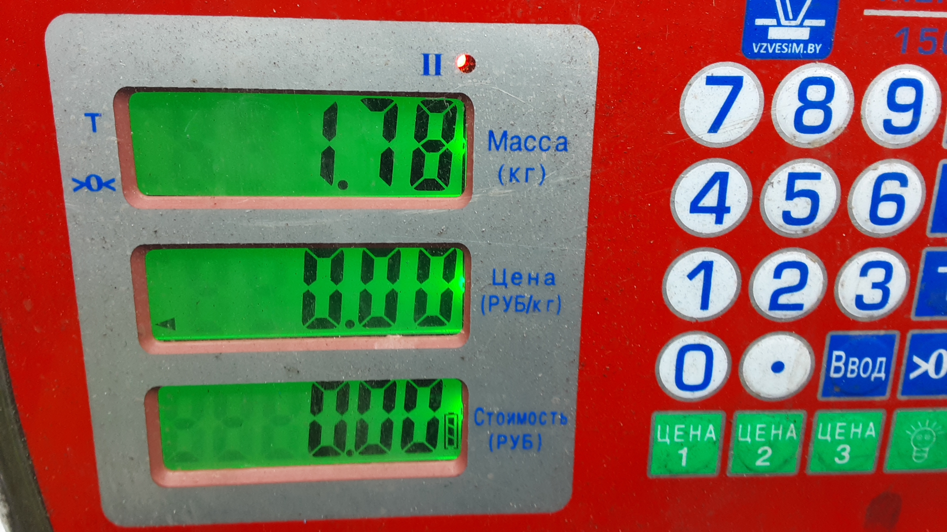 Воздушная подушка (опора пневматическая)