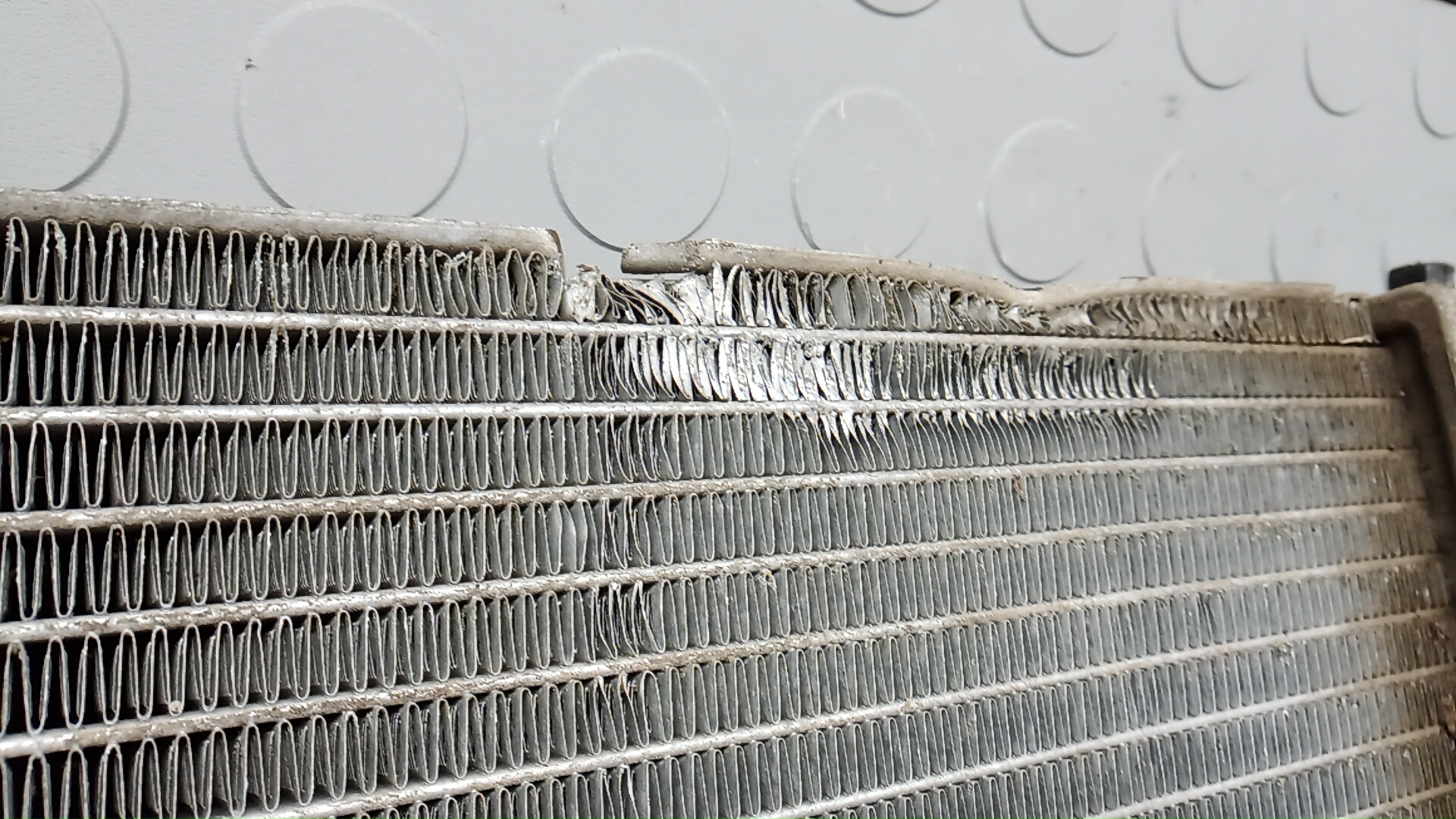 Радиатор охлаждения двигателя основной