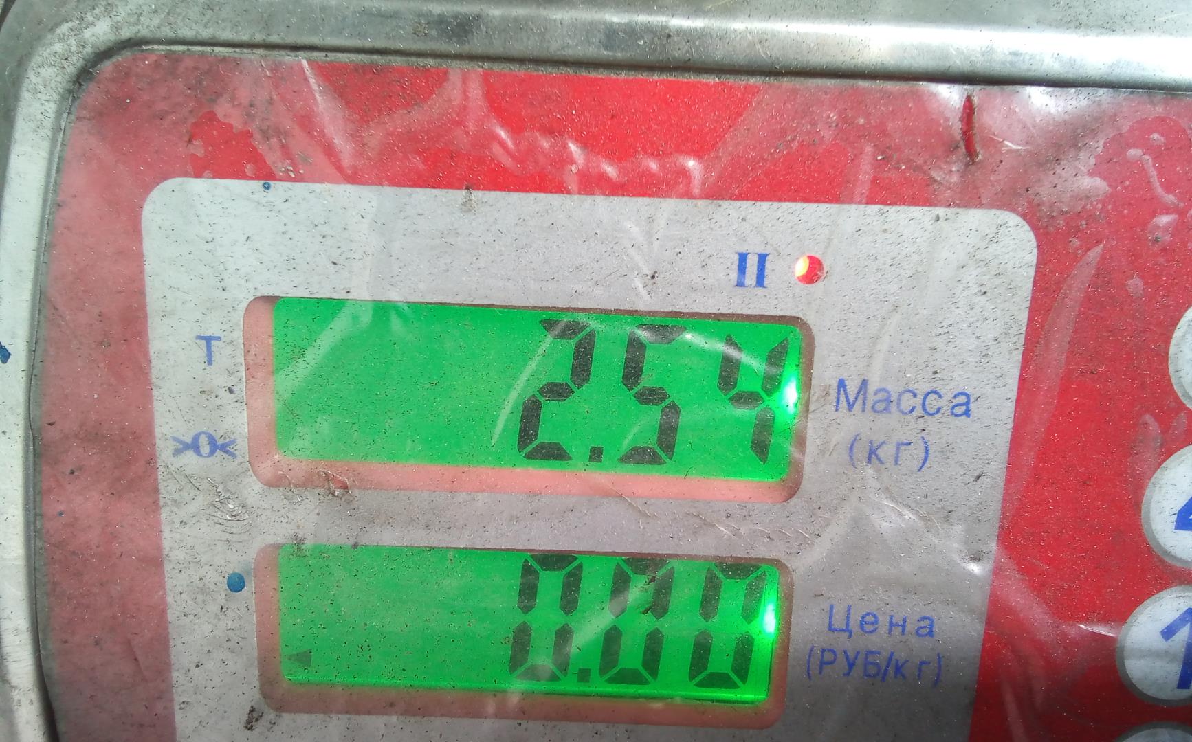 Шкив коленвала