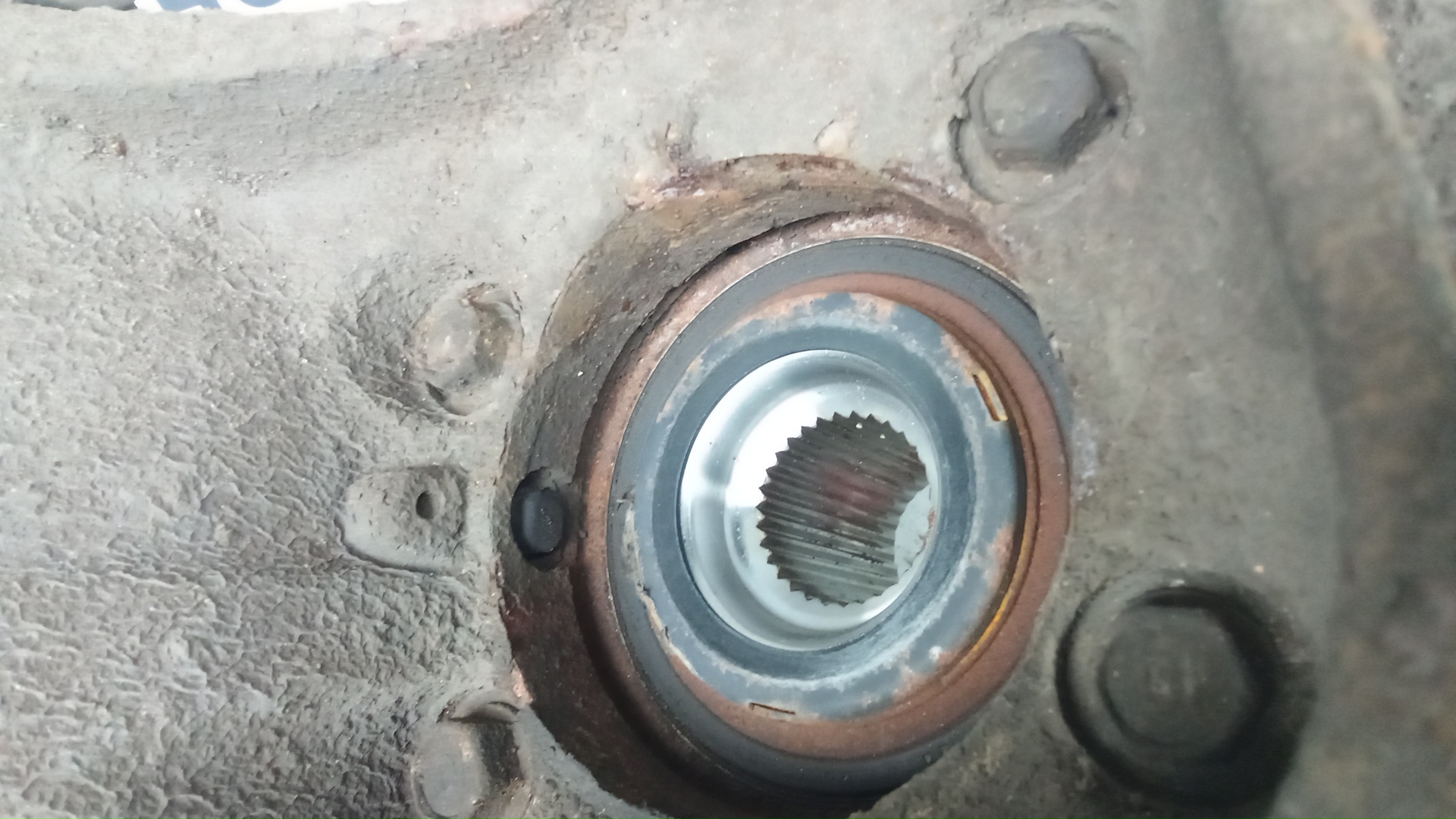 Ступица задняя