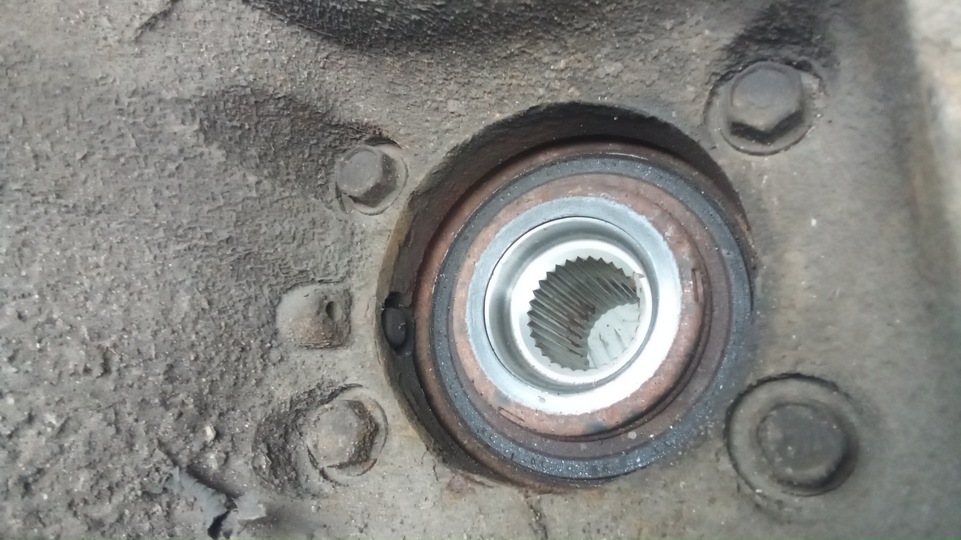 Ступица задняя