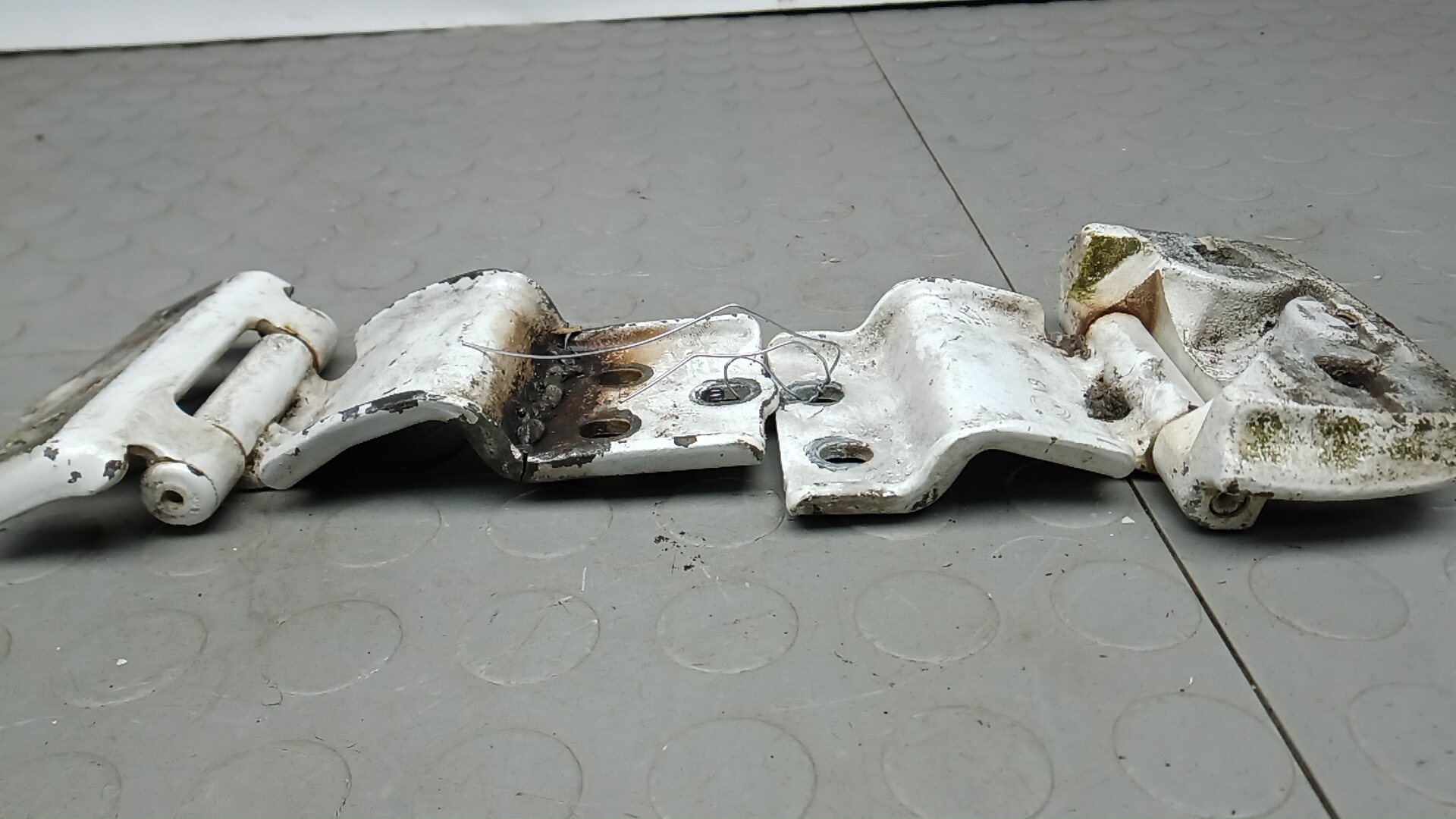 Петля двери задней