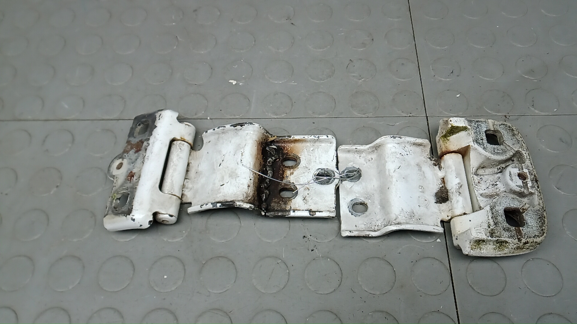 Петля двери задней