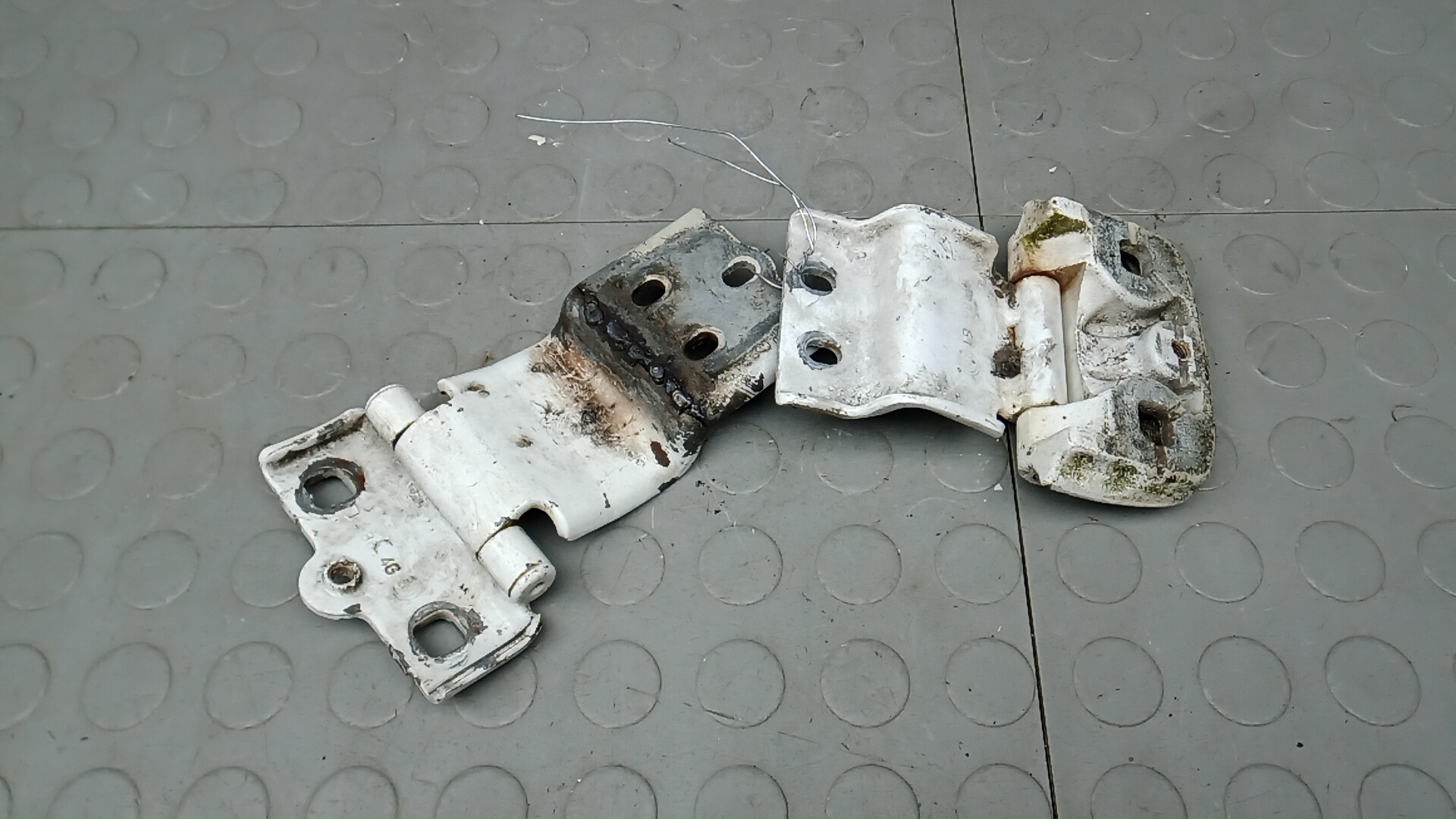 Петля двери задней