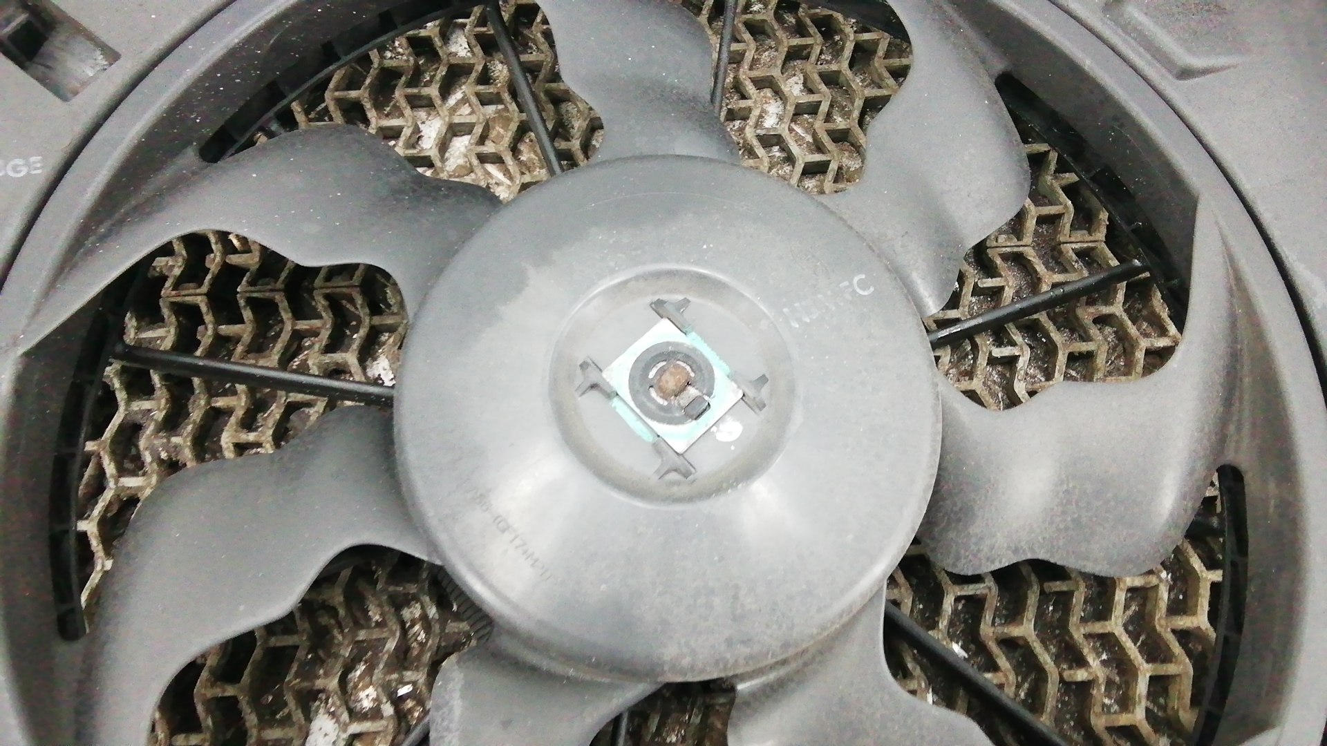 Вентилятор радиатора