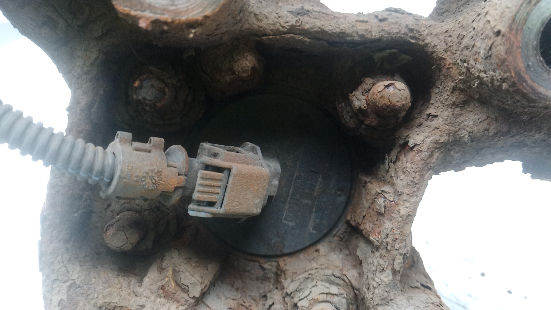 Ступица задняя