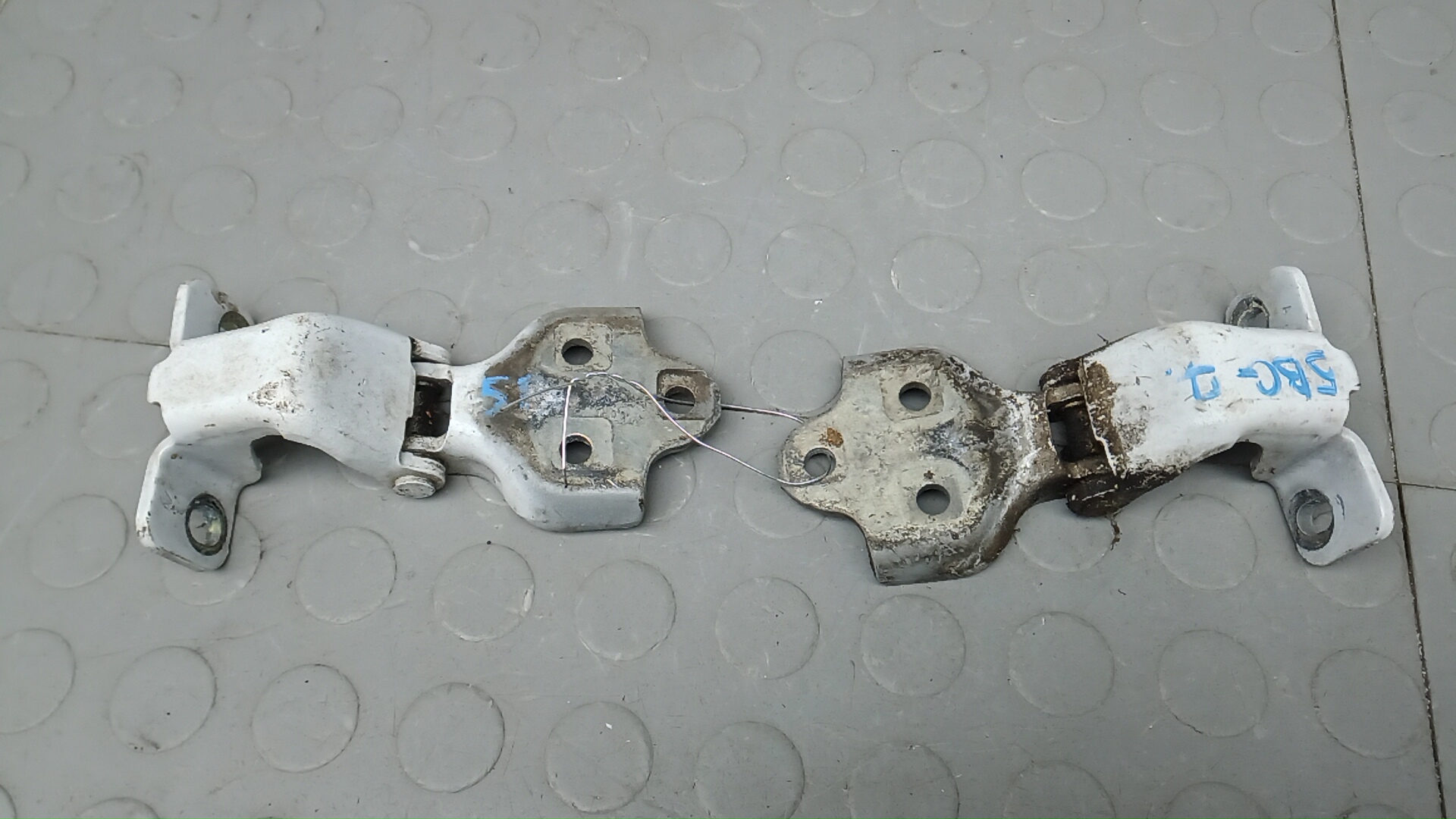 Петля двери задней