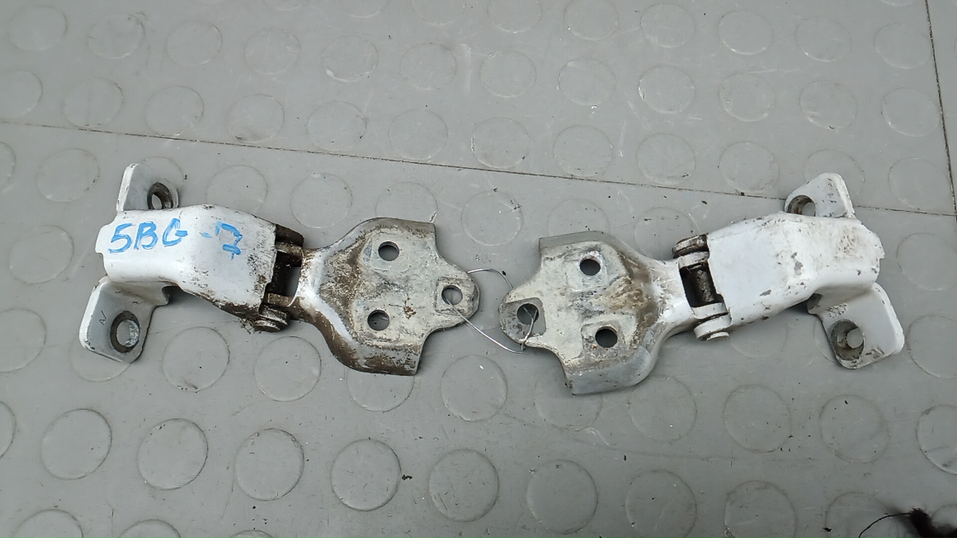 Петля двери задней