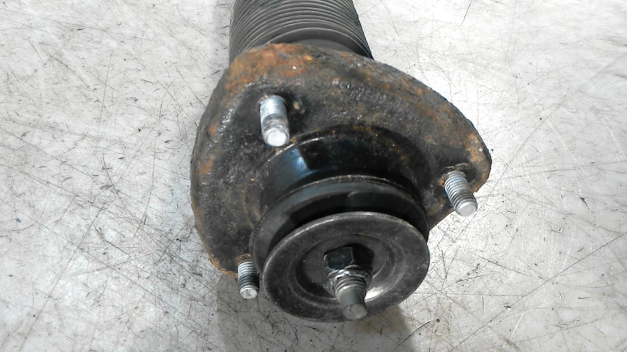 Амортизатор задний (стойка)