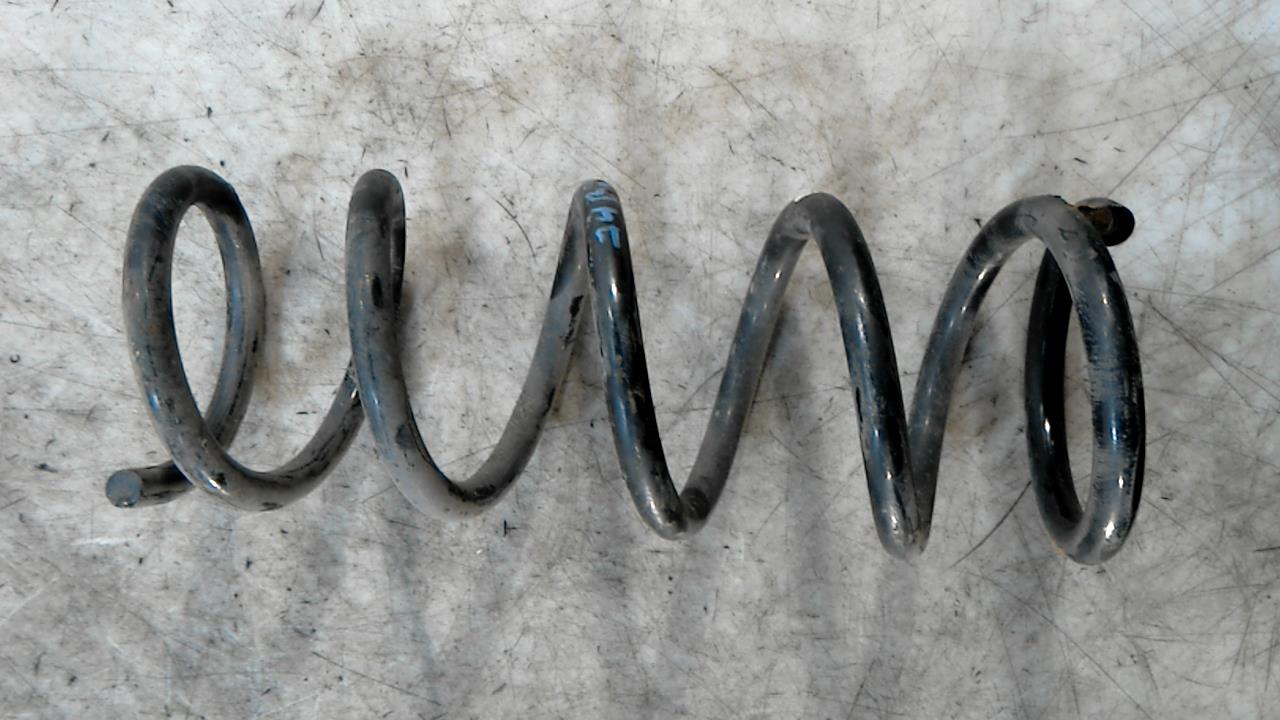 Пружина задняя