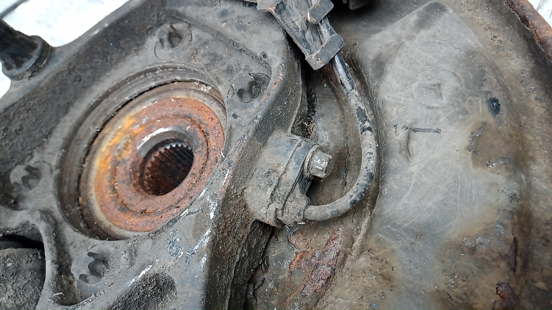 Ступица задняя