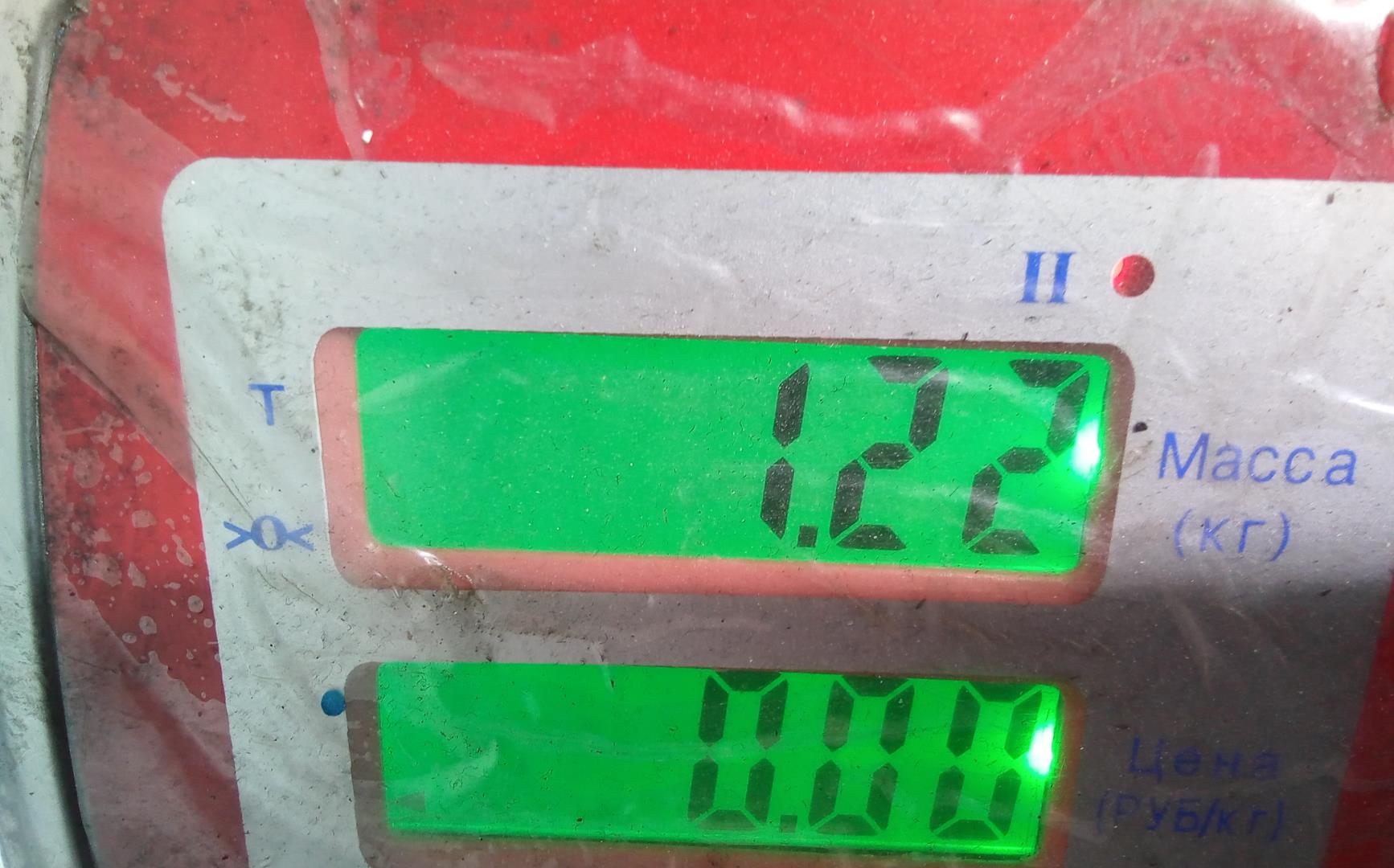 Рейка топливная (рампа)