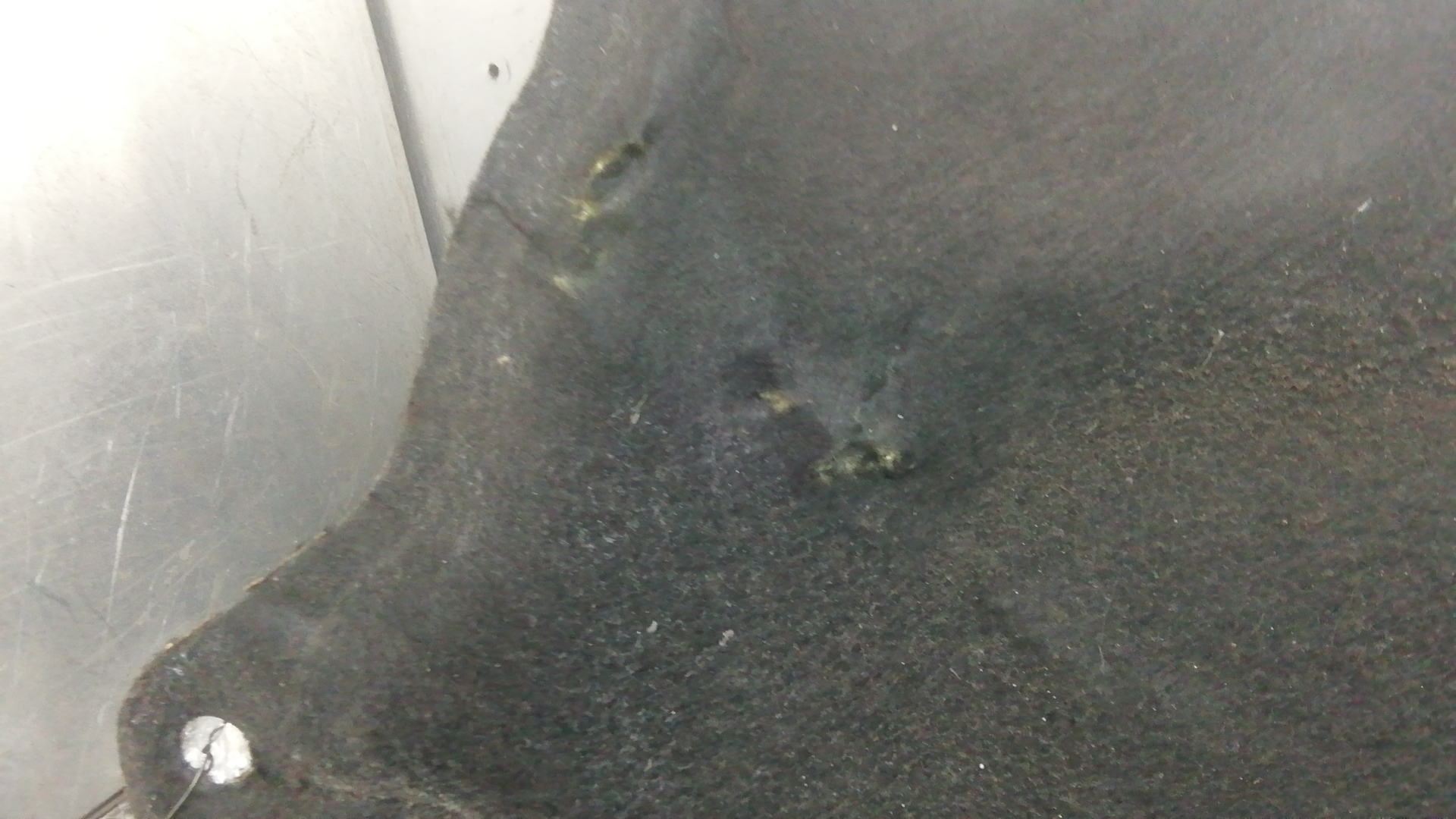 Шумоизоляция капота