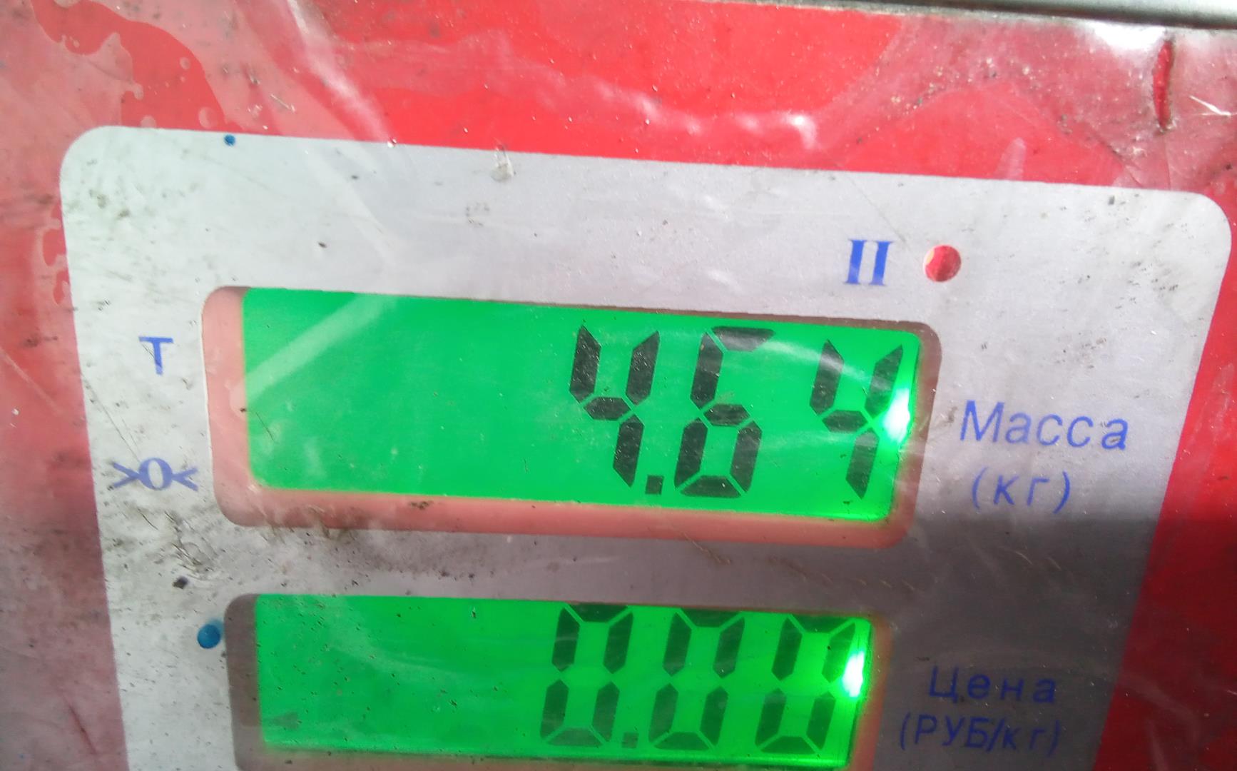 Клапан рециркуляции выхлопных газов (EGR)