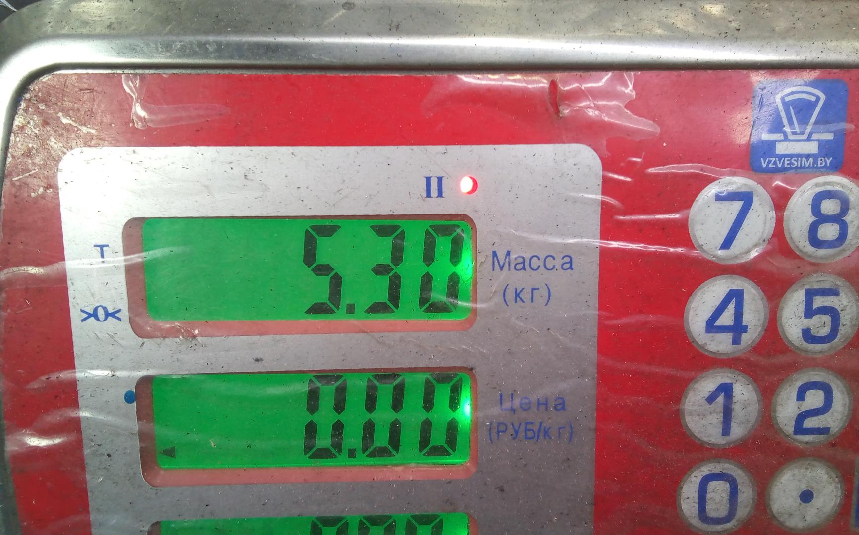 ТНВД (Топливный насос высокого давления)