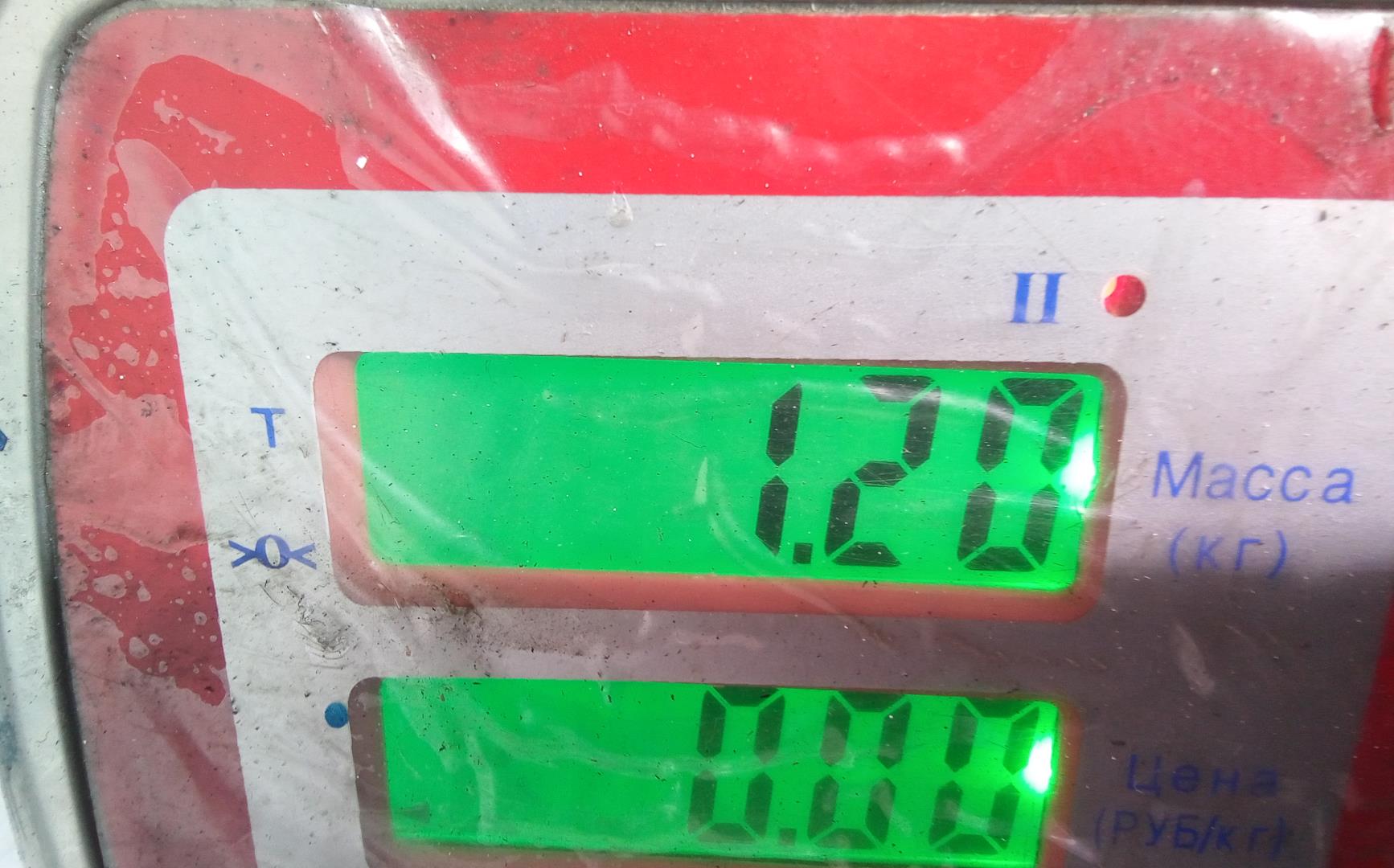 Рейка топливная (рампа)